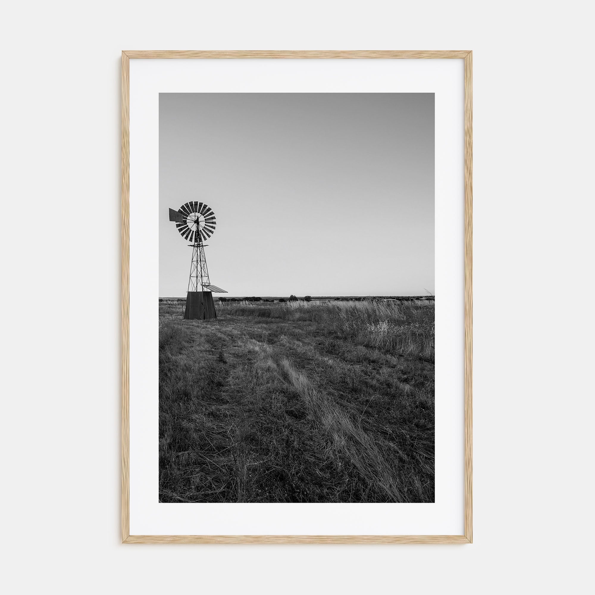 Texas Photo B&W No 2 Poster