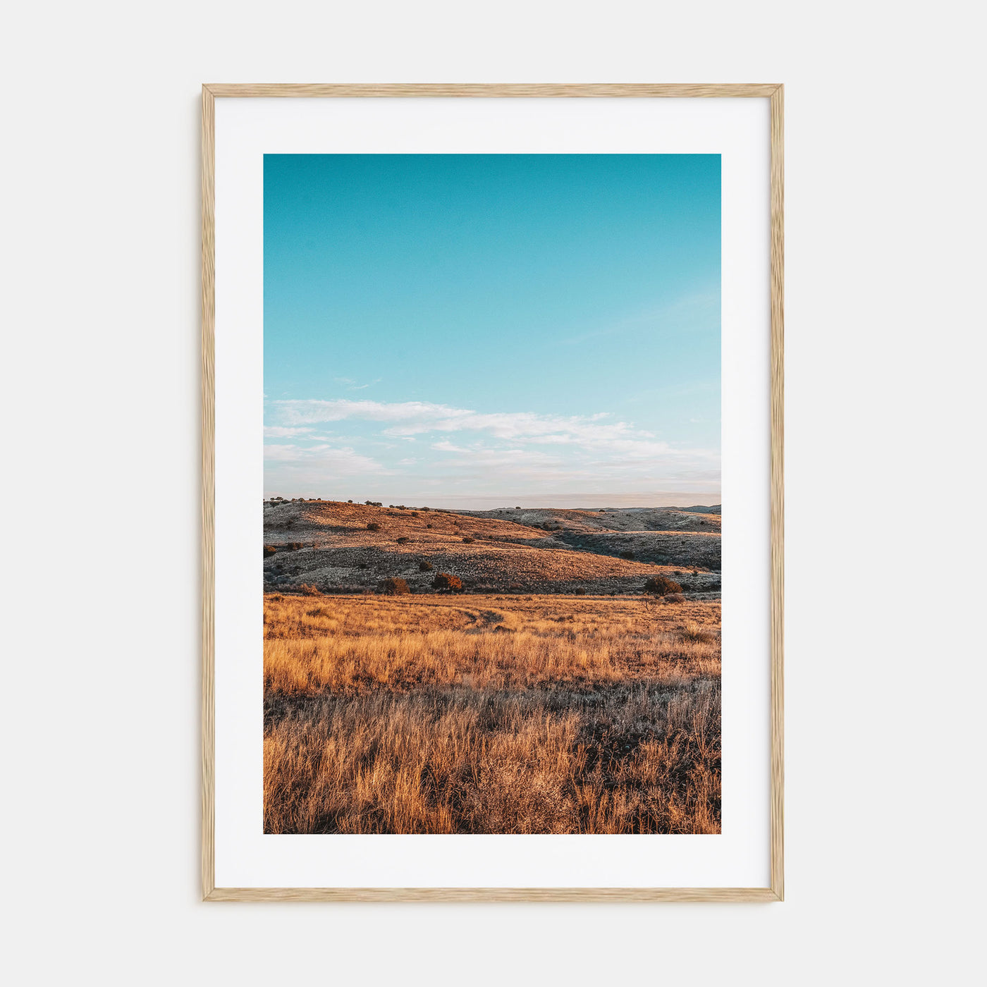 Texas Photo Color Poster