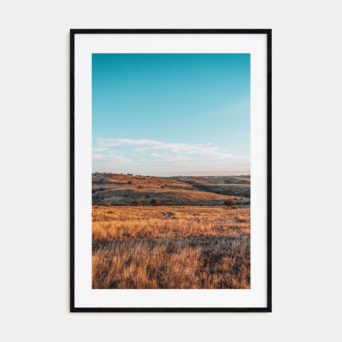 Texas Photo Color Poster
