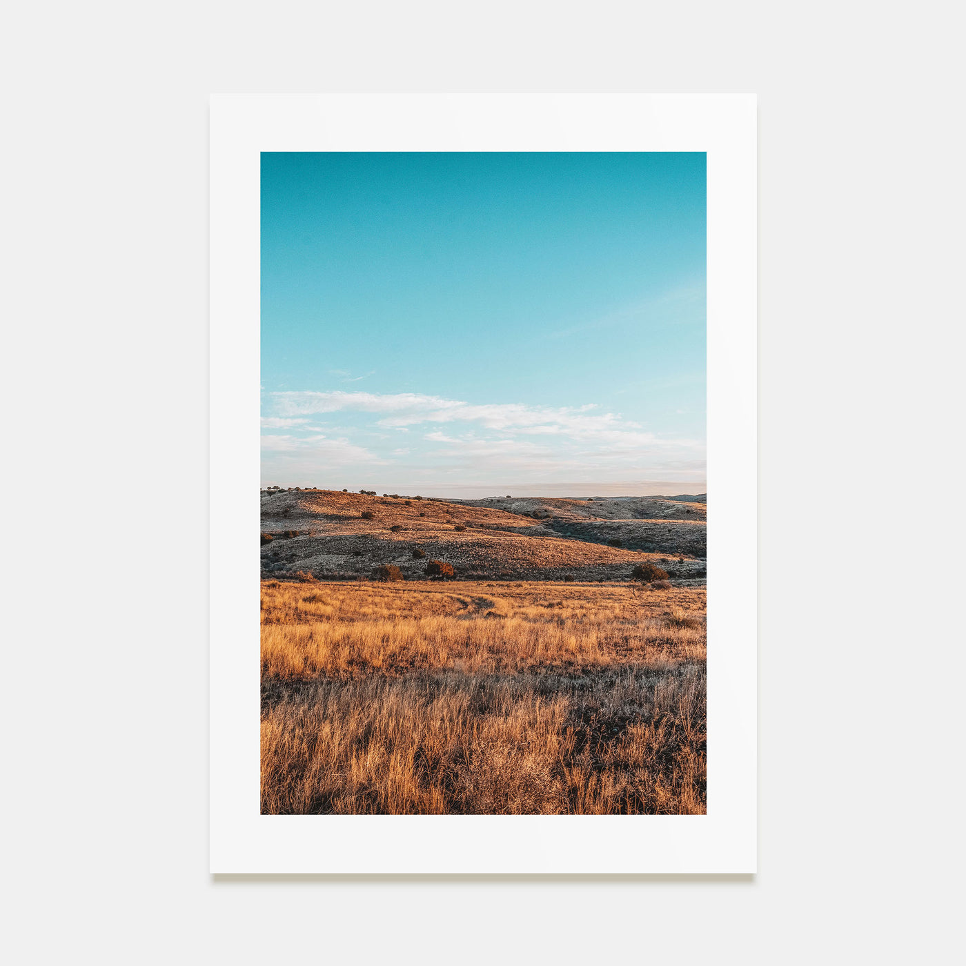 Texas Photo Color Poster