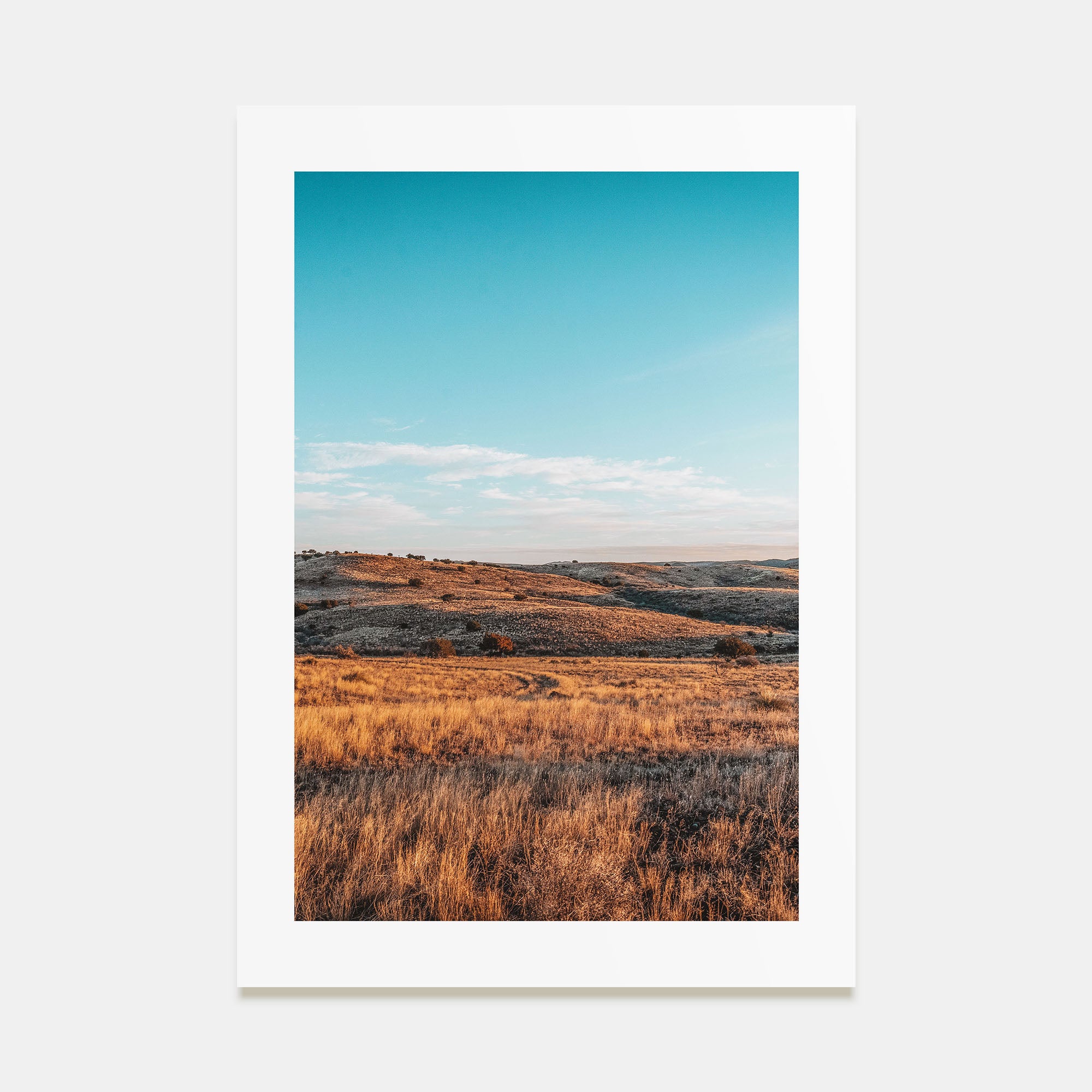 Texas Photo Color Poster