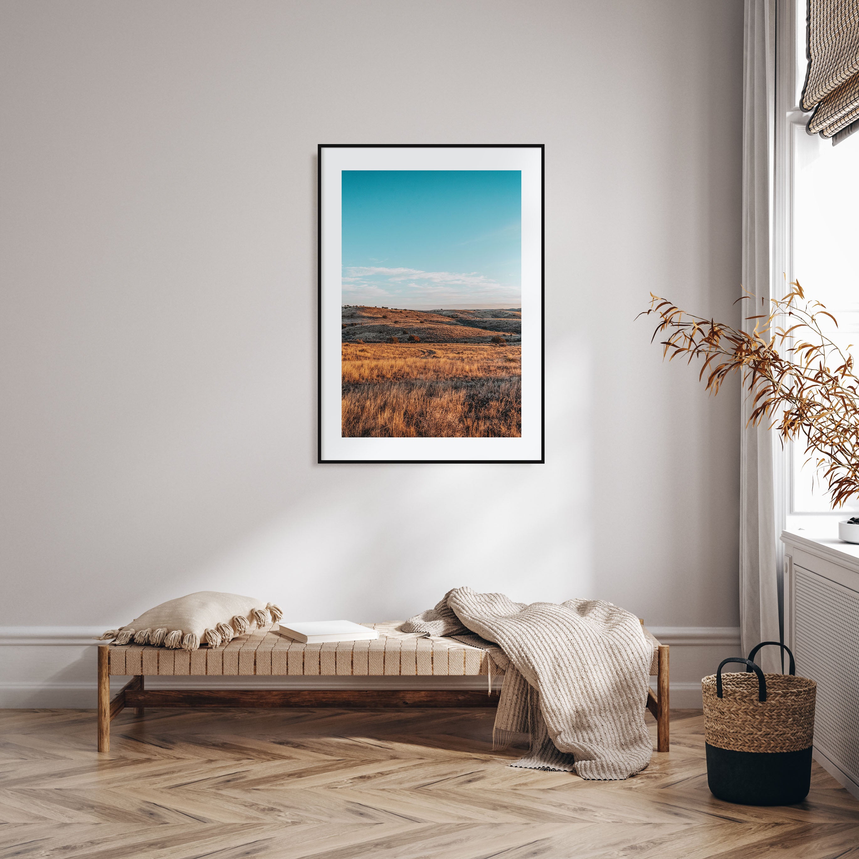 Texas Photo Color Poster