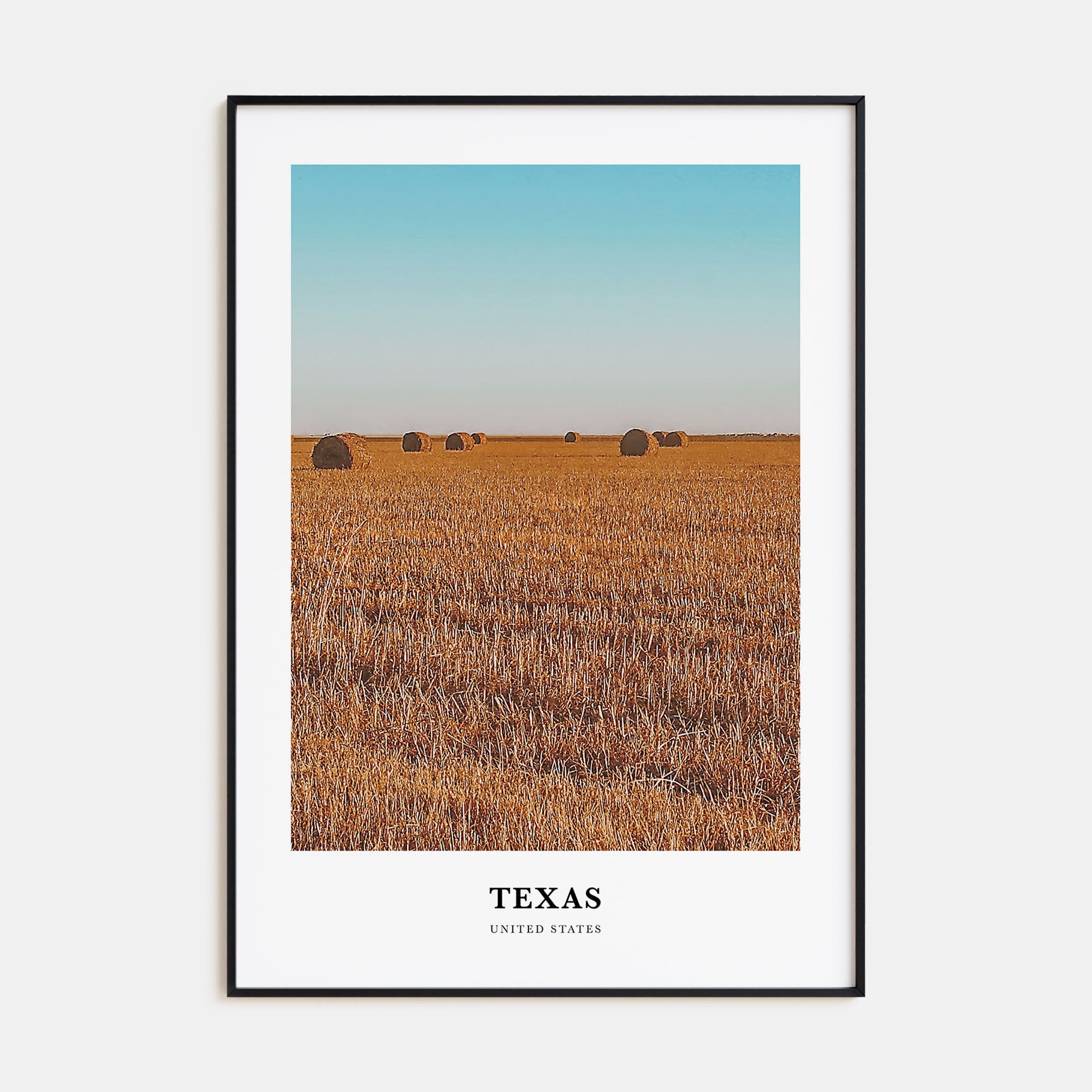 Texas Portrait Color No 2 Poster