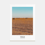 Texas Portrait Color No 2 Poster