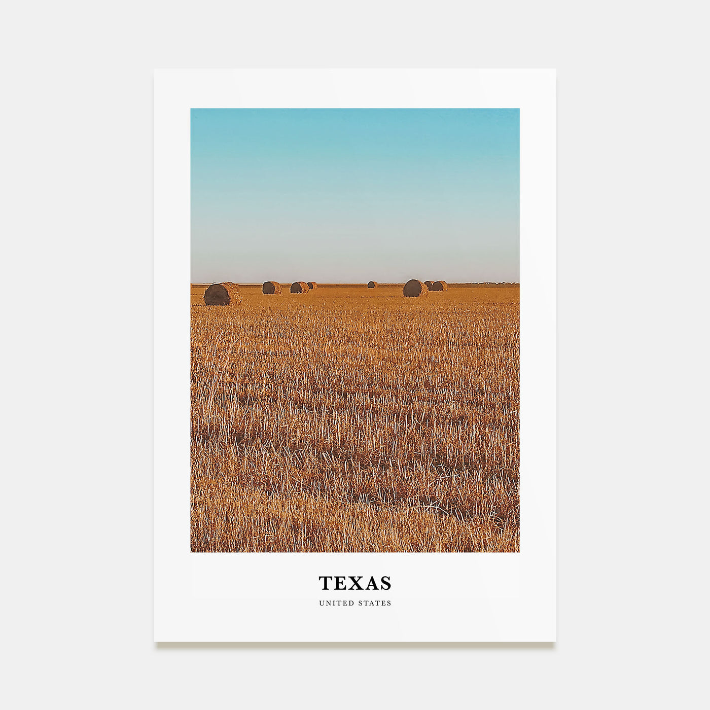 Texas Portrait Color No 2 Poster