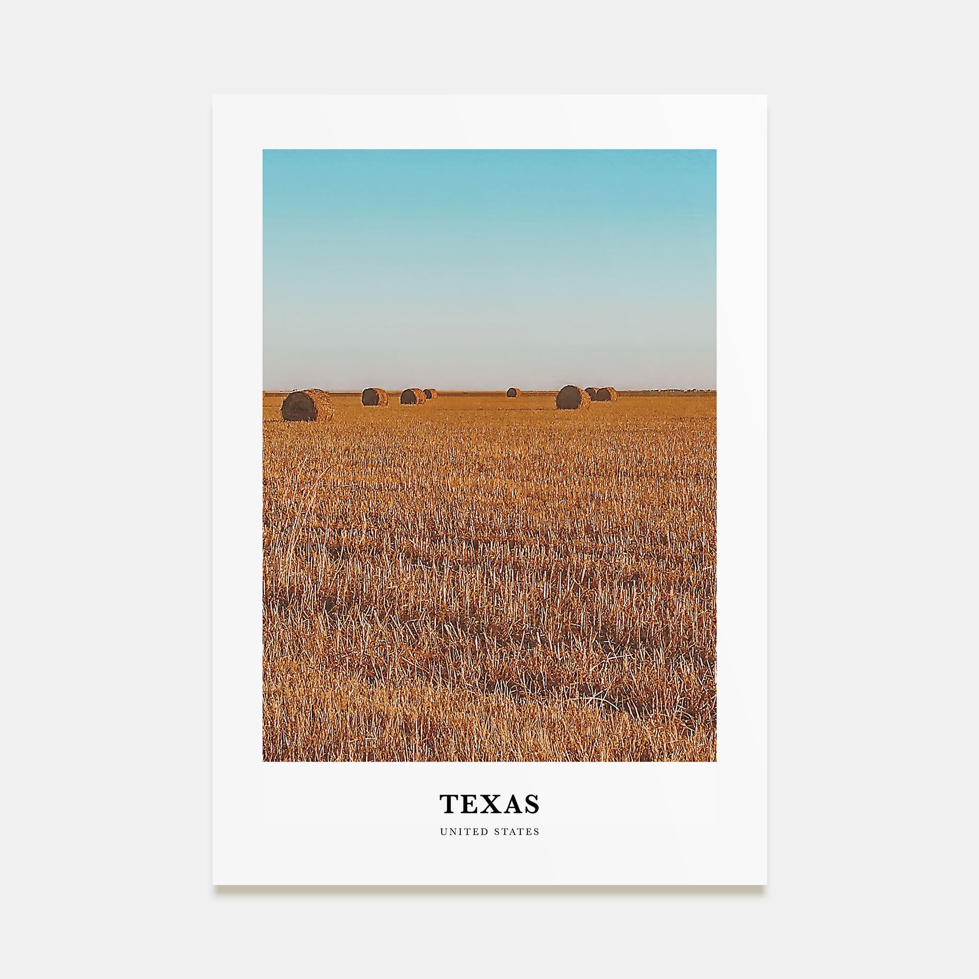 Texas Portrait Color No 2 Poster