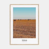Texas Portrait Color No 2 Poster