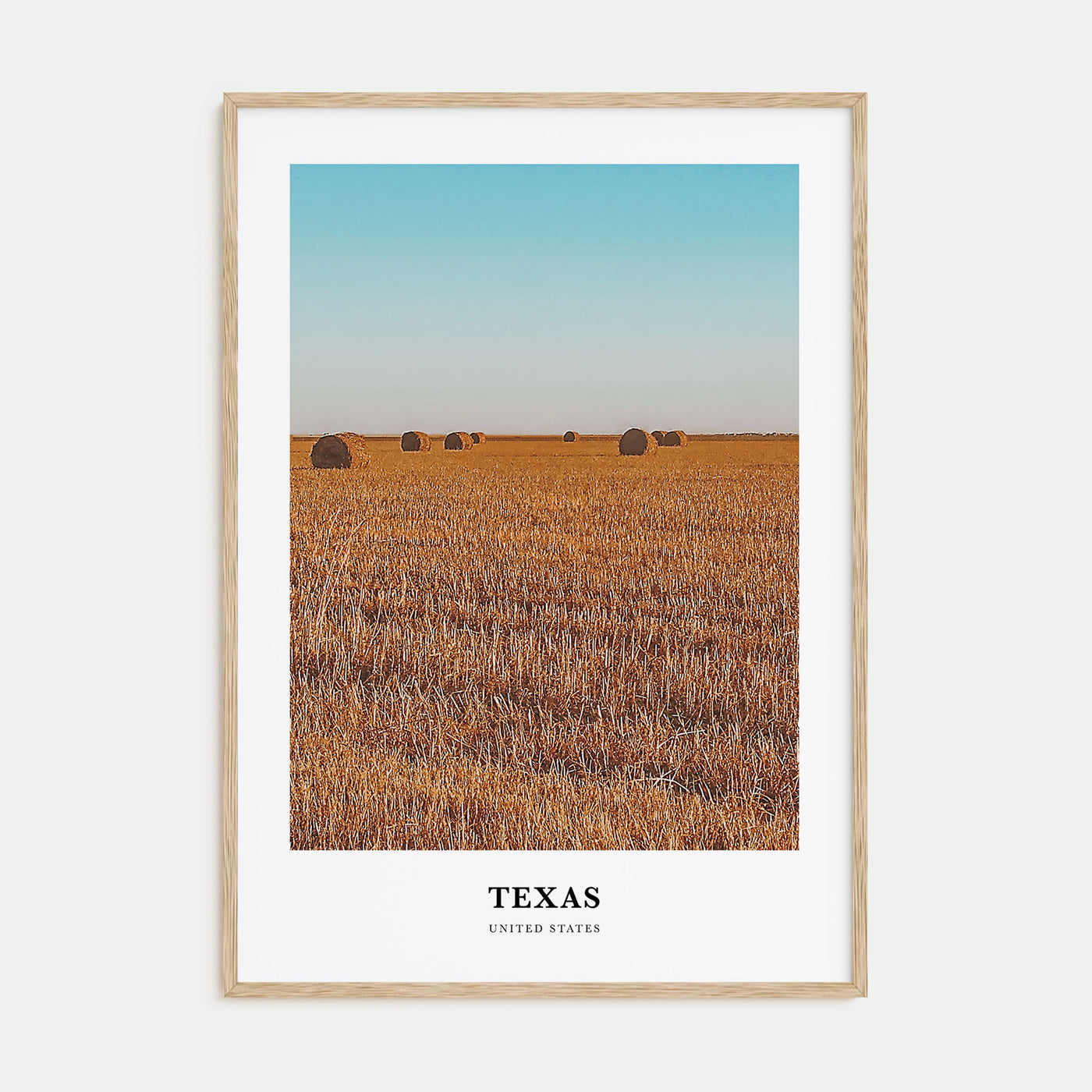 Texas Portrait Color No 2 Poster