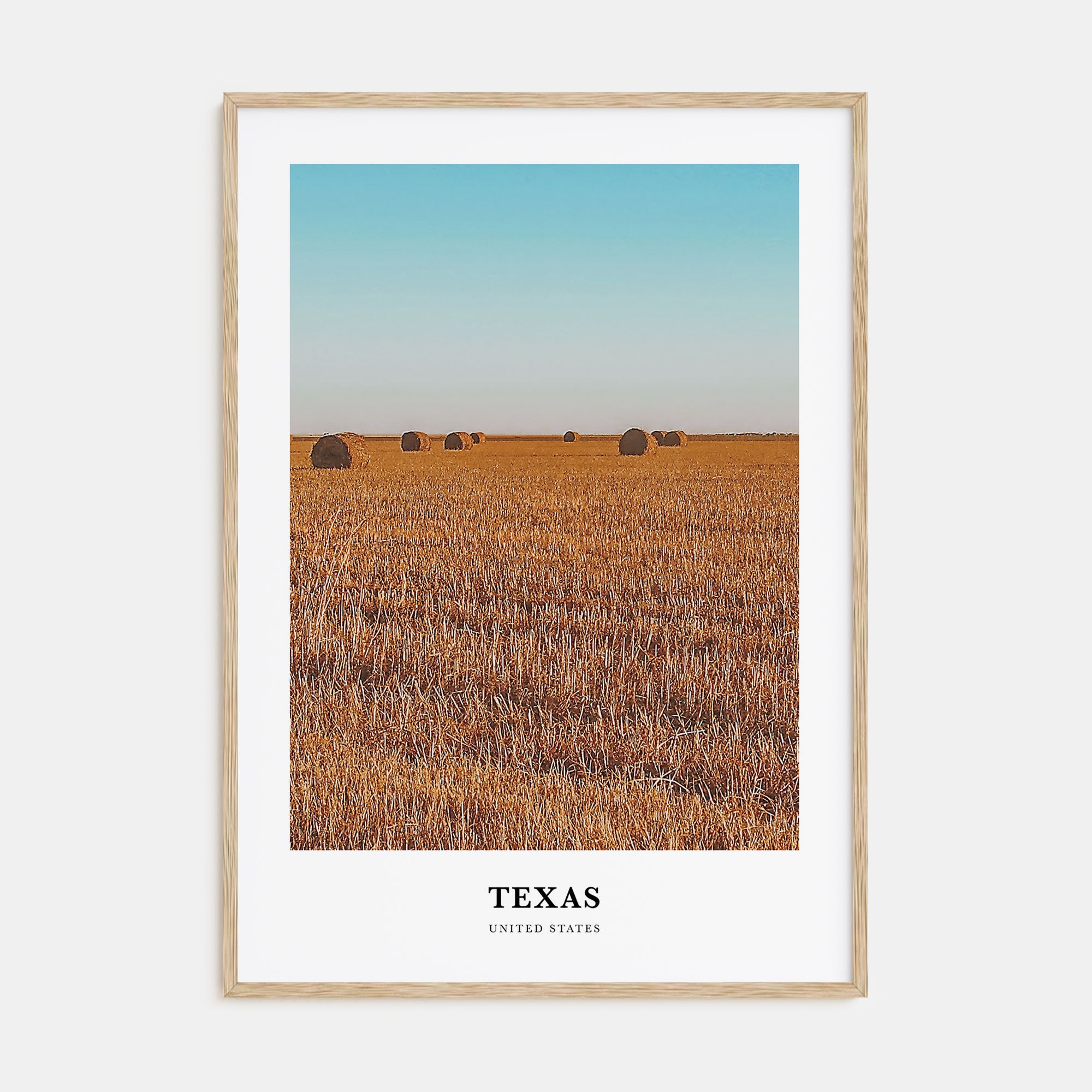 Texas Portrait Color No 2 Poster