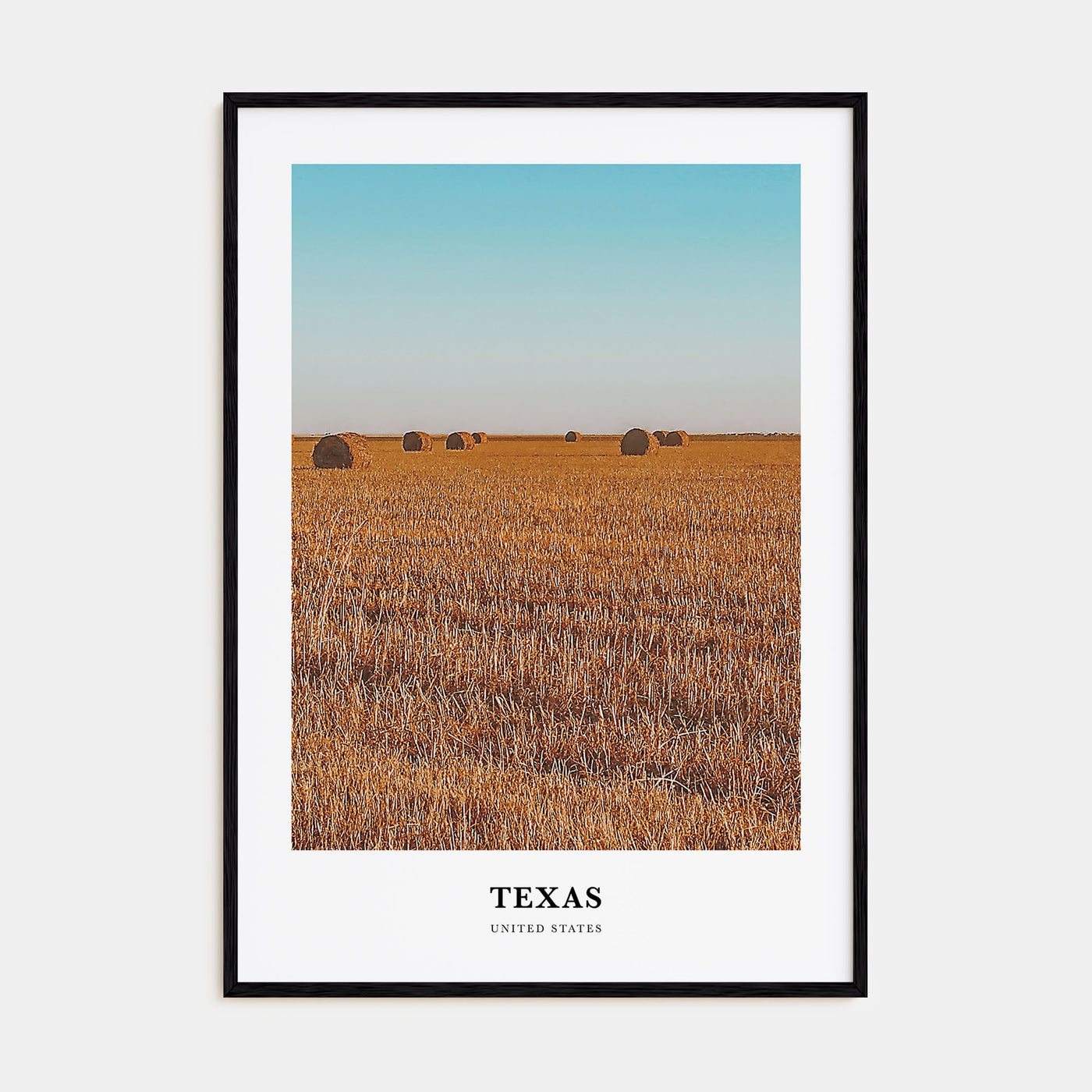 Texas Portrait Color No 2 Poster