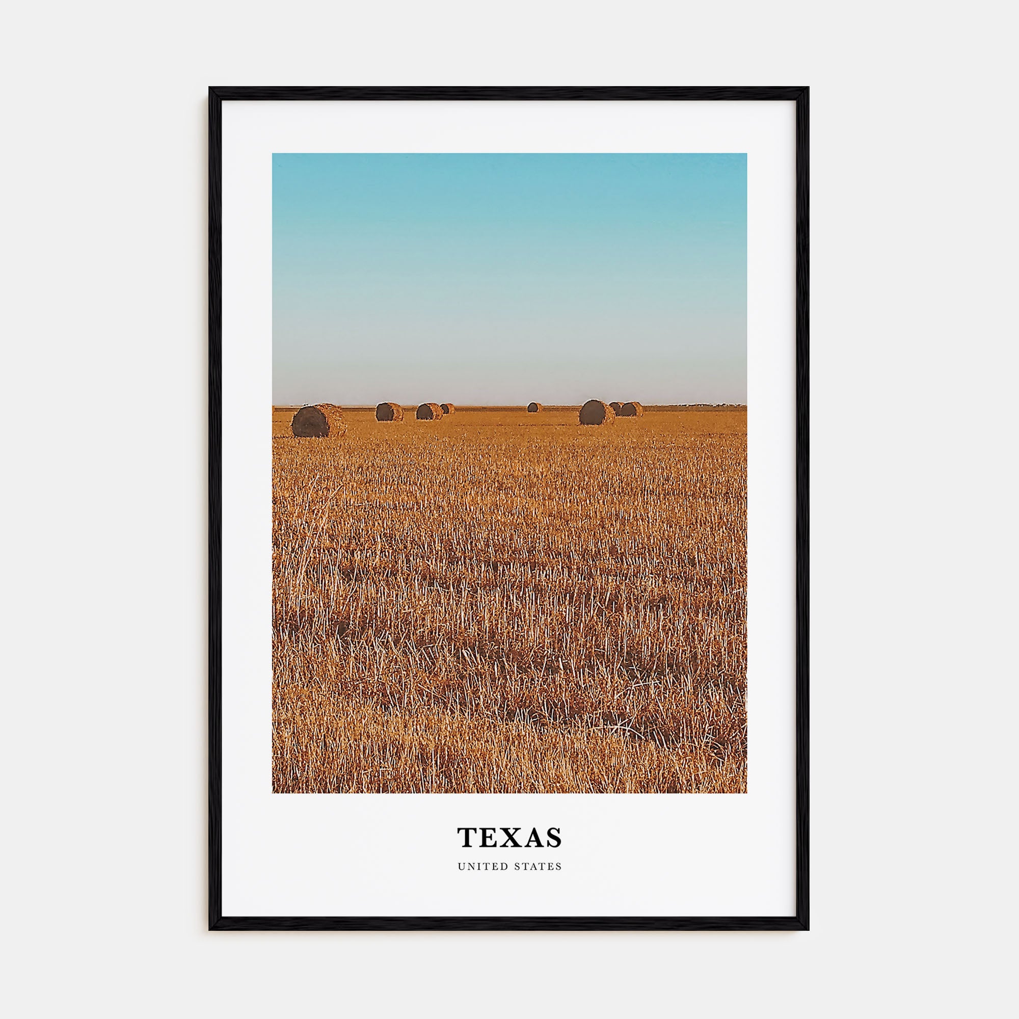 Texas Portrait Color No 2 Poster