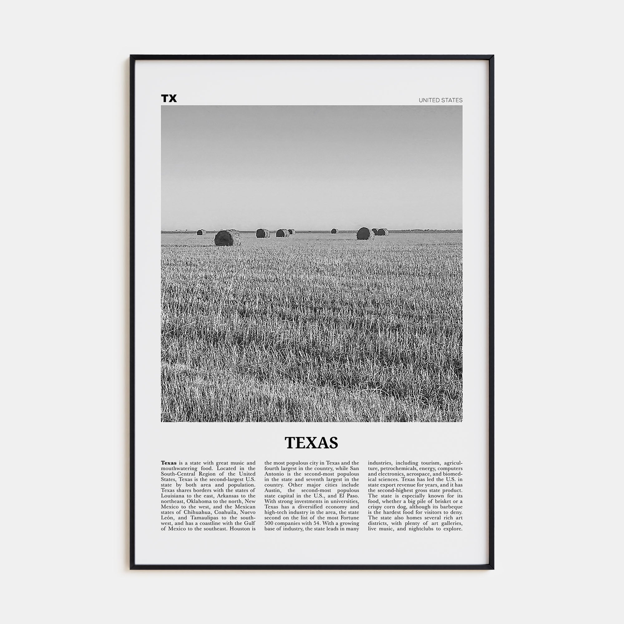 Texas Travel B&W No 3 Poster