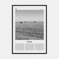 Texas Travel B&W No 3 Poster