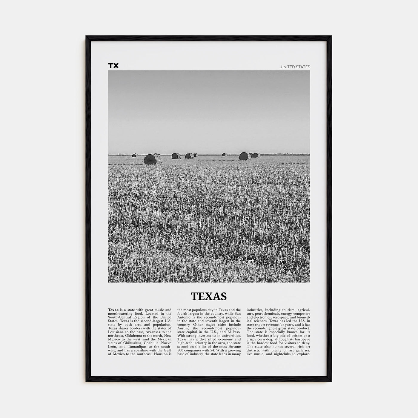 Texas Travel B&W No 3 Poster