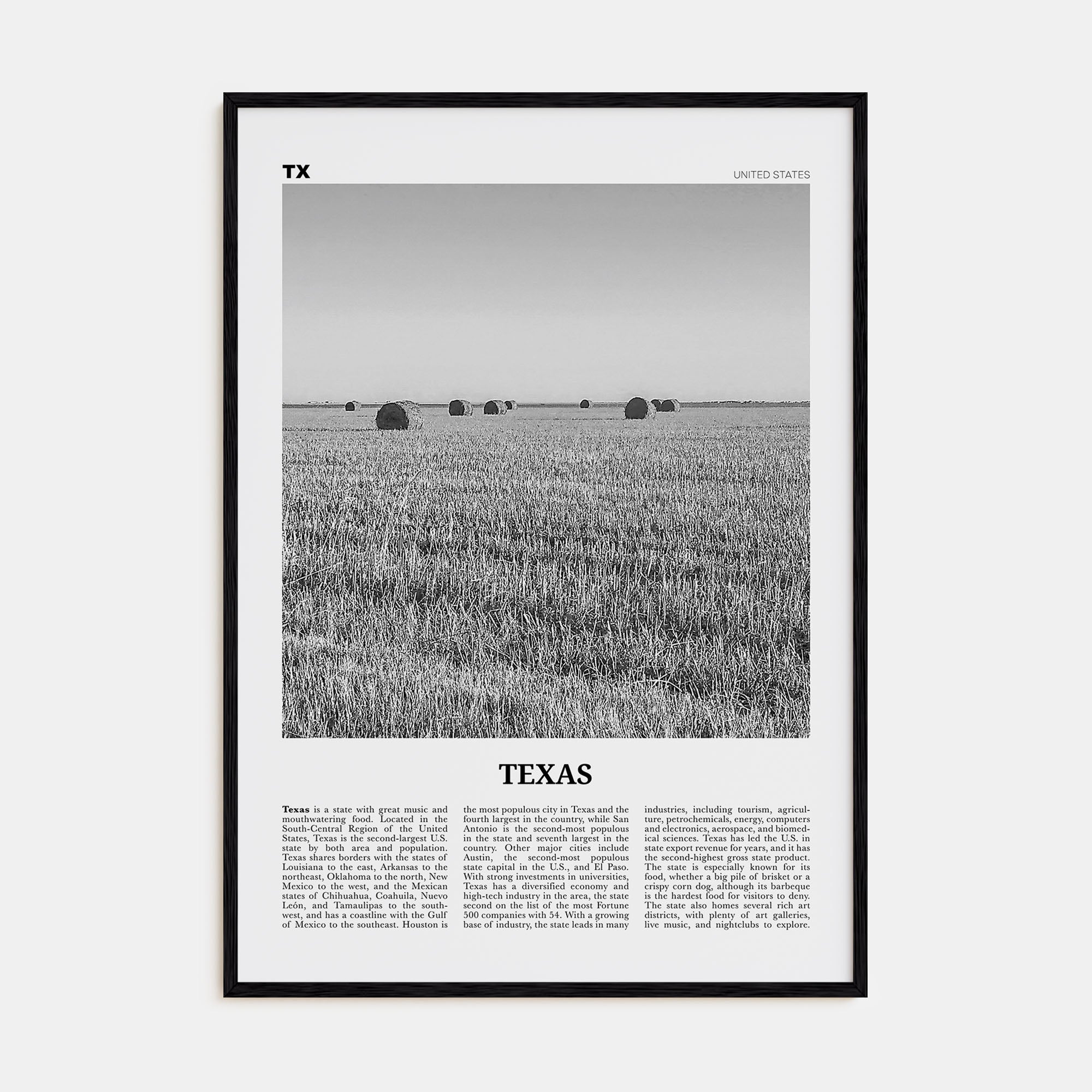 Texas Travel B&W No 3 Poster