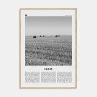 Texas Travel B&W No 3 Poster