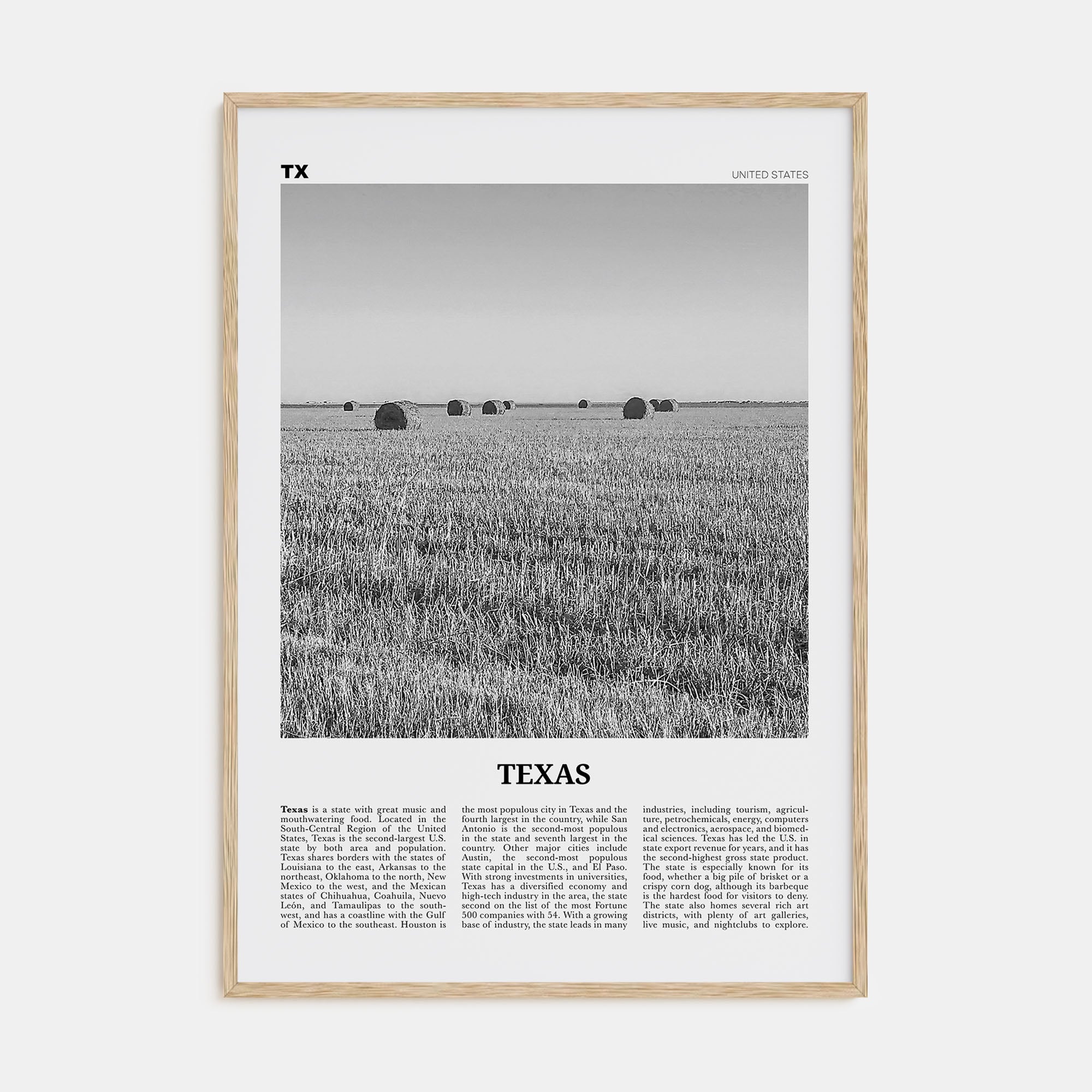 Texas Travel B&W No 3 Poster
