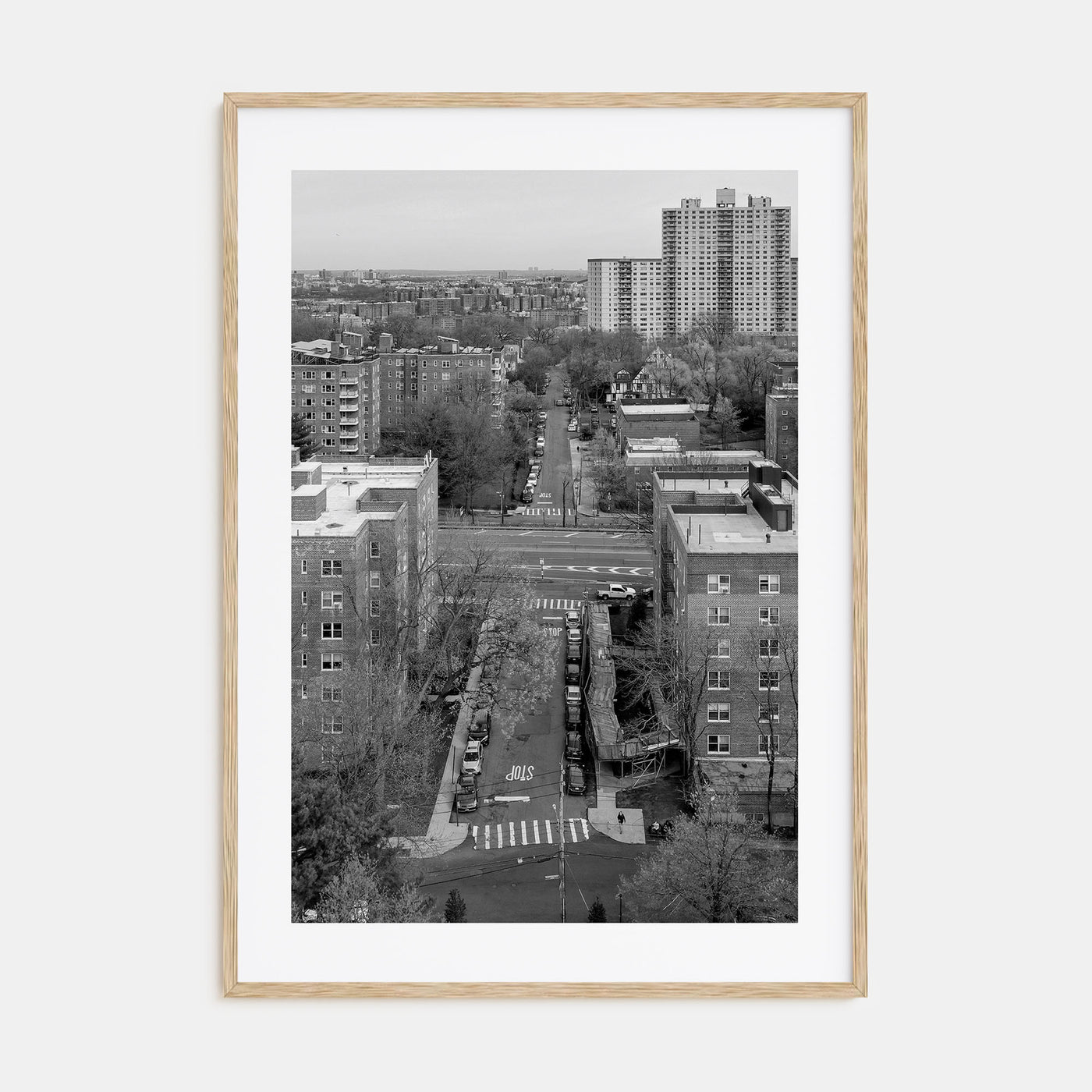 The Bronx Photo B&W Poster