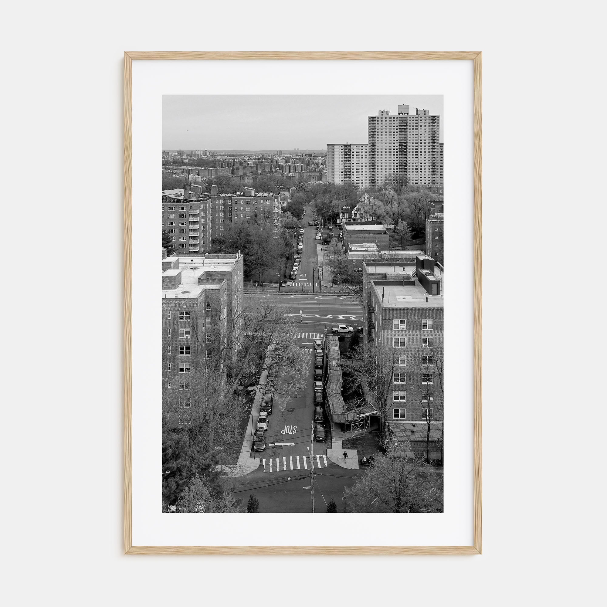 The Bronx Photo B&W Poster