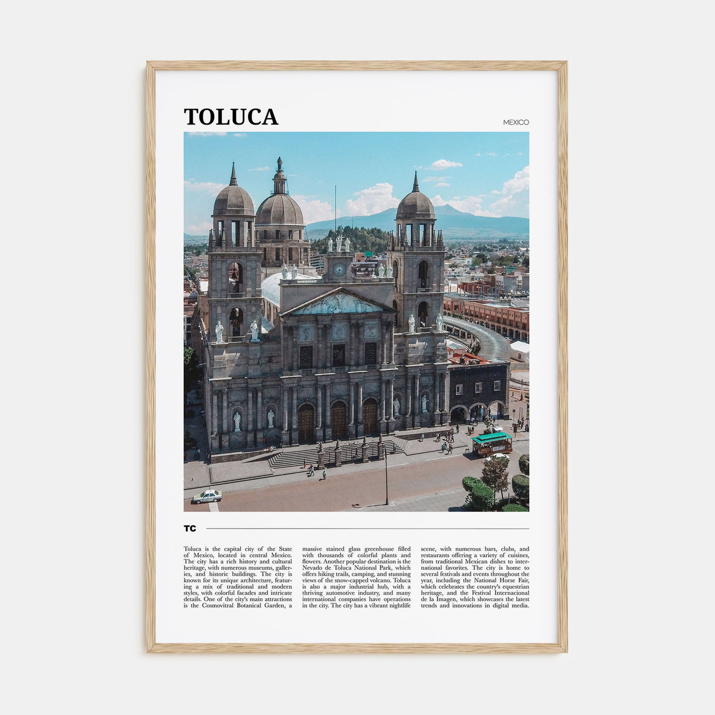 Toluca Travel Color Poster