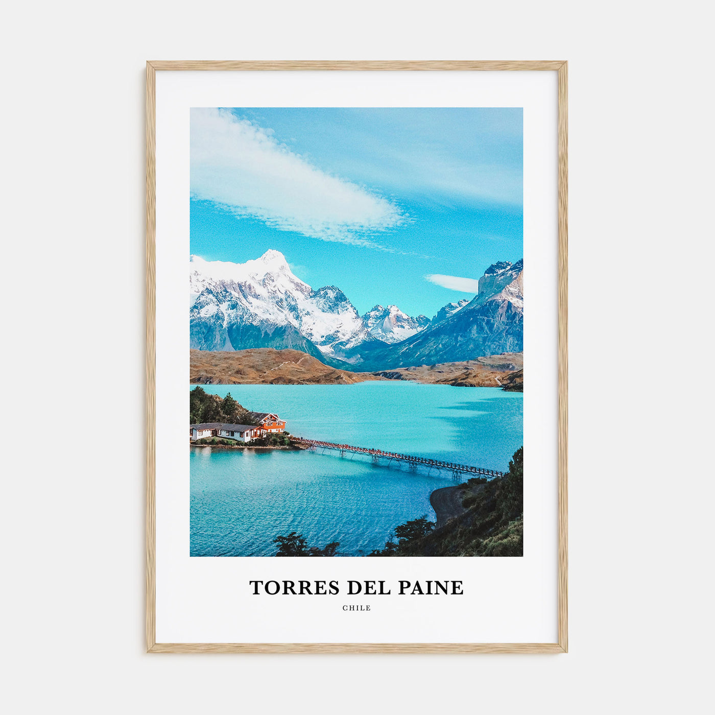 Torres del Paine Portrait Color Poster