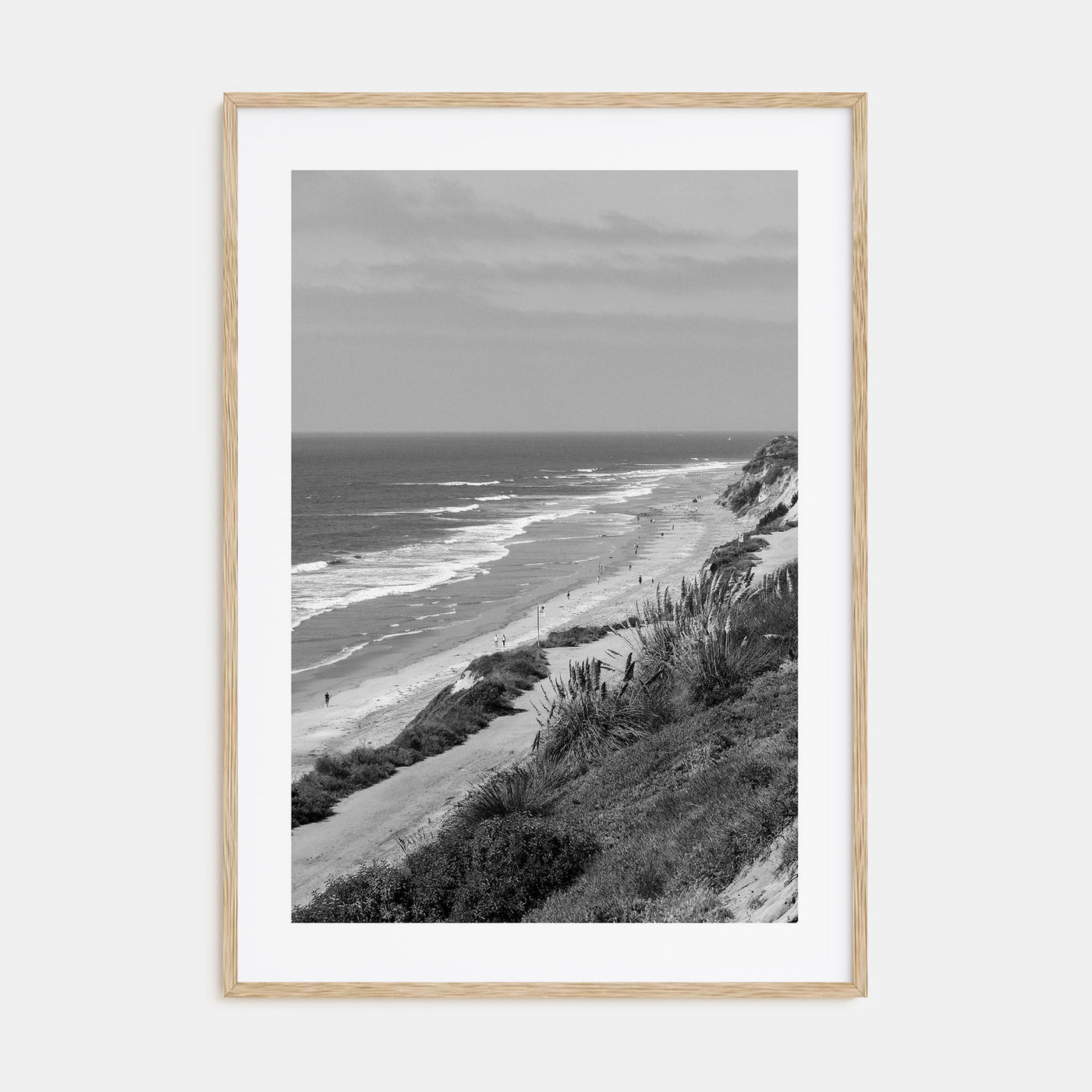 Torrey Pines Photo B&W Poster