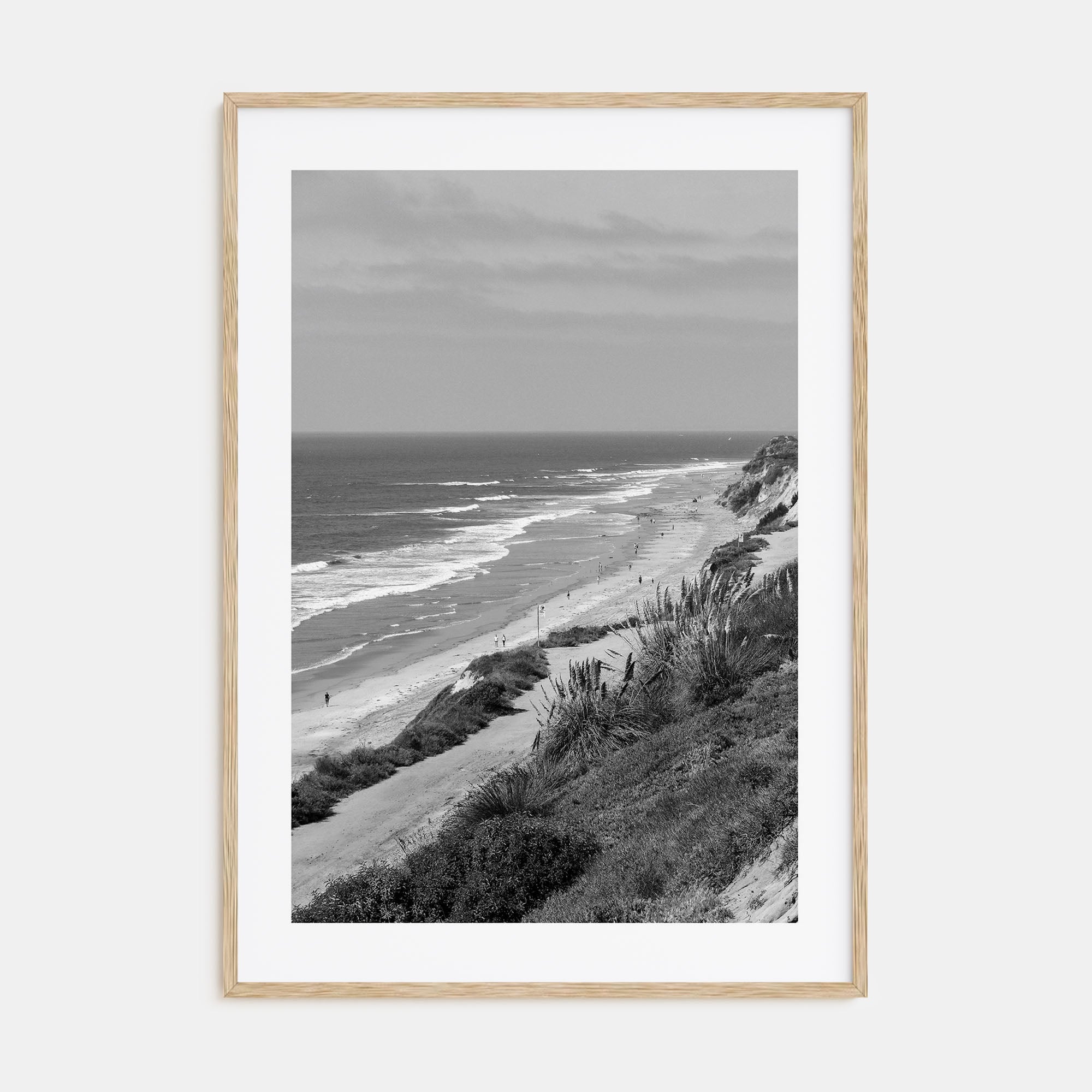 Torrey Pines Photo B&W Poster