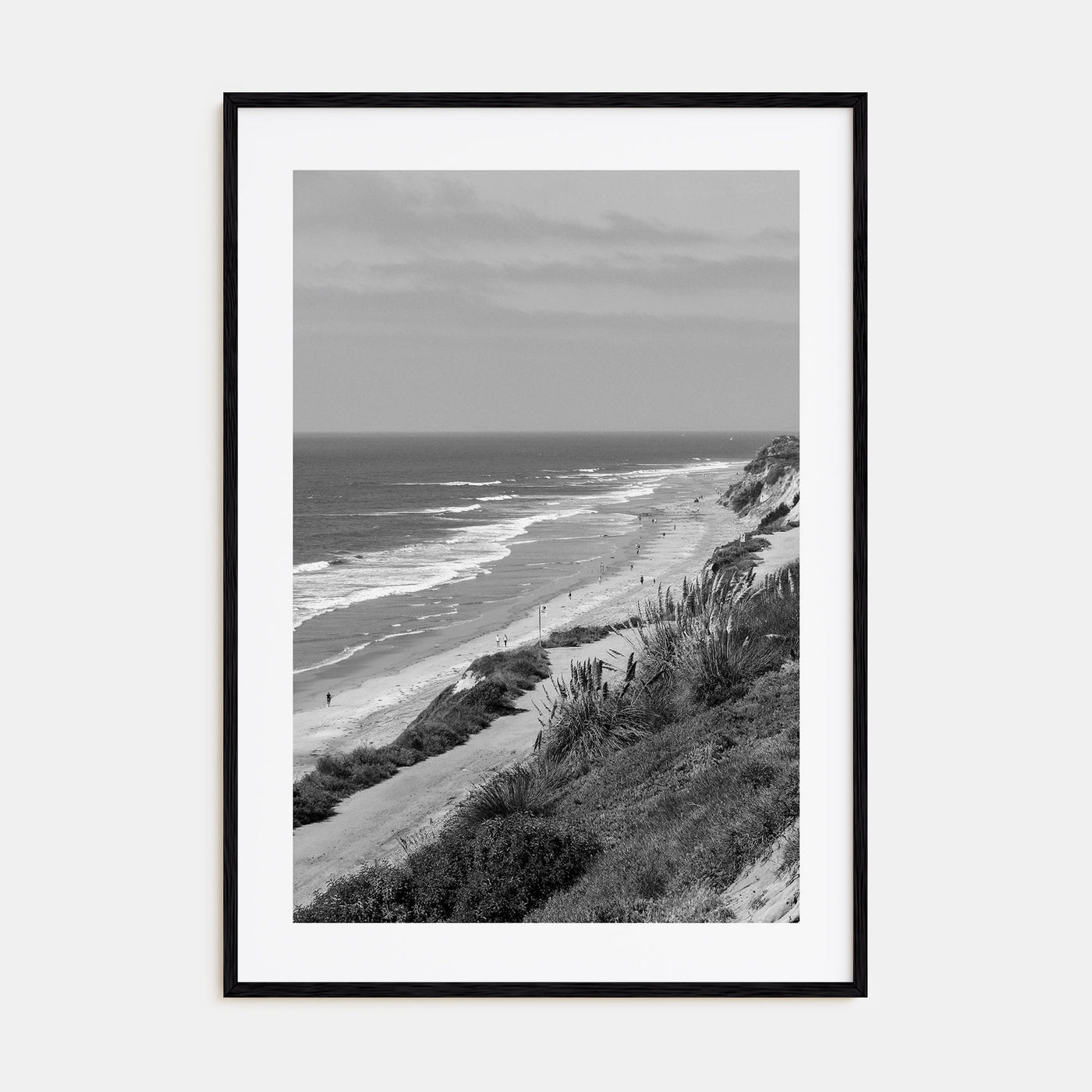 Torrey Pines Photo B&W Poster