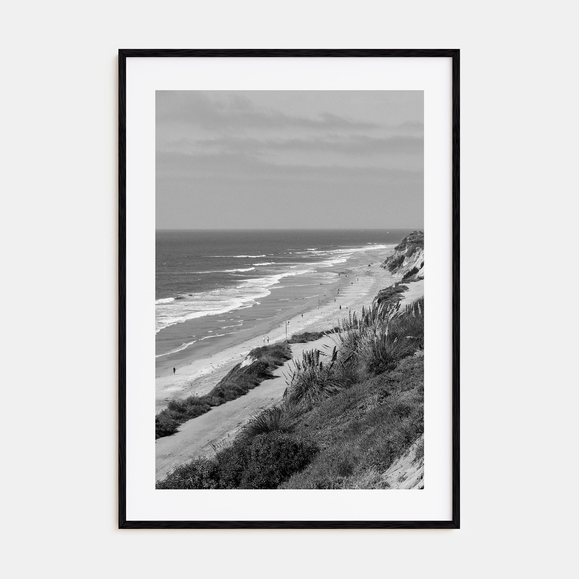 Torrey Pines Photo B&W Poster