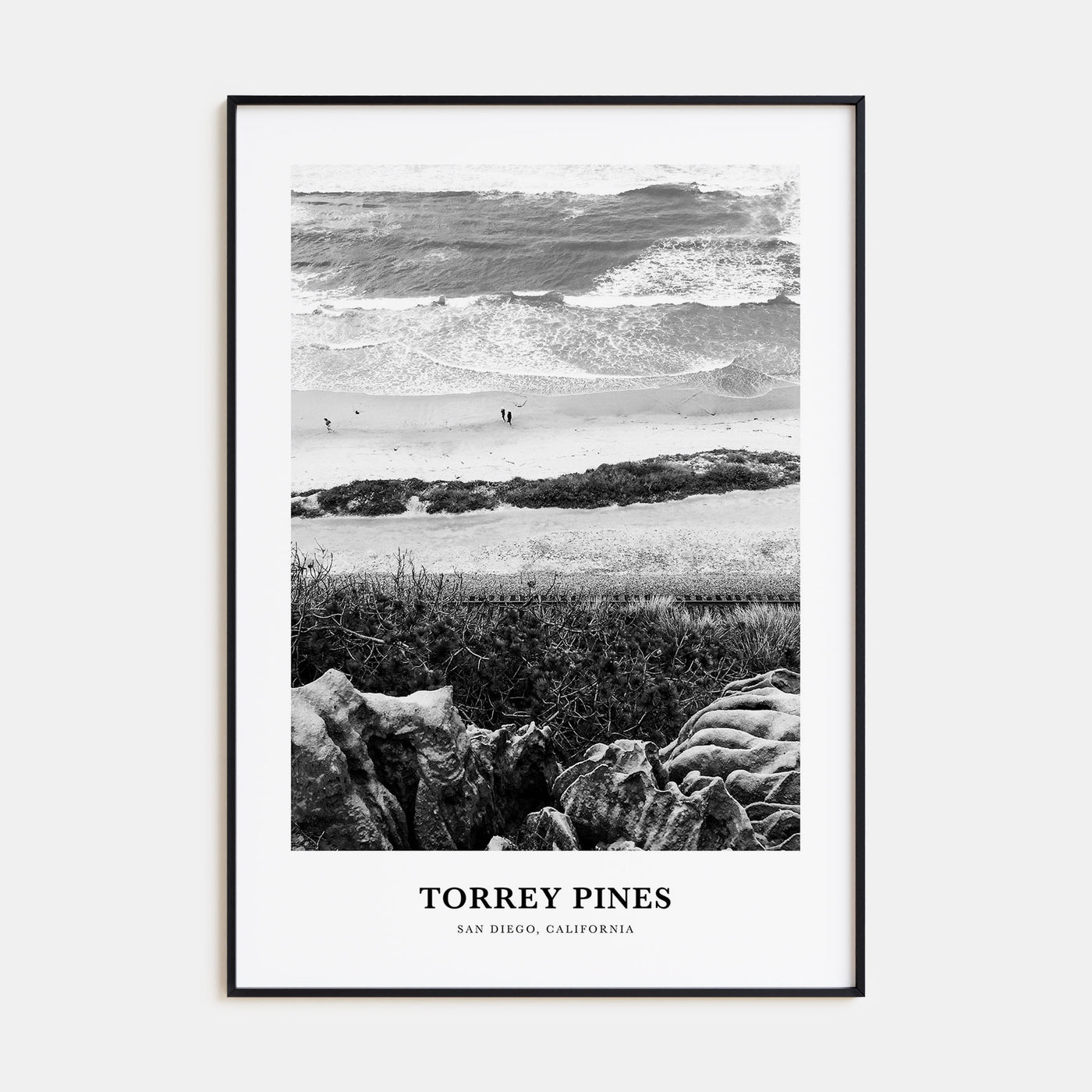 Torrey Pines Portrait B&W No 1 Poster