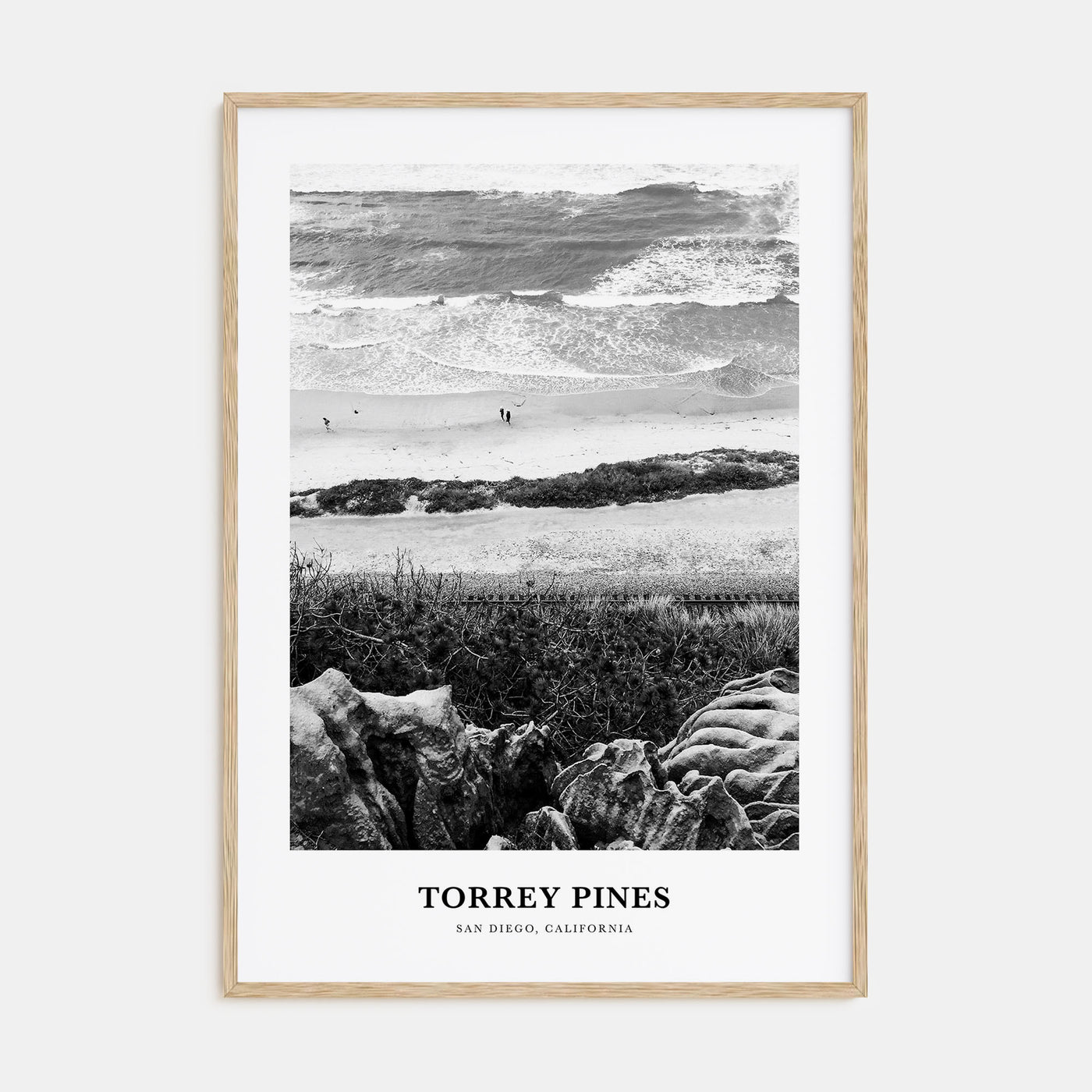 Torrey Pines Portrait B&W No 1 Poster