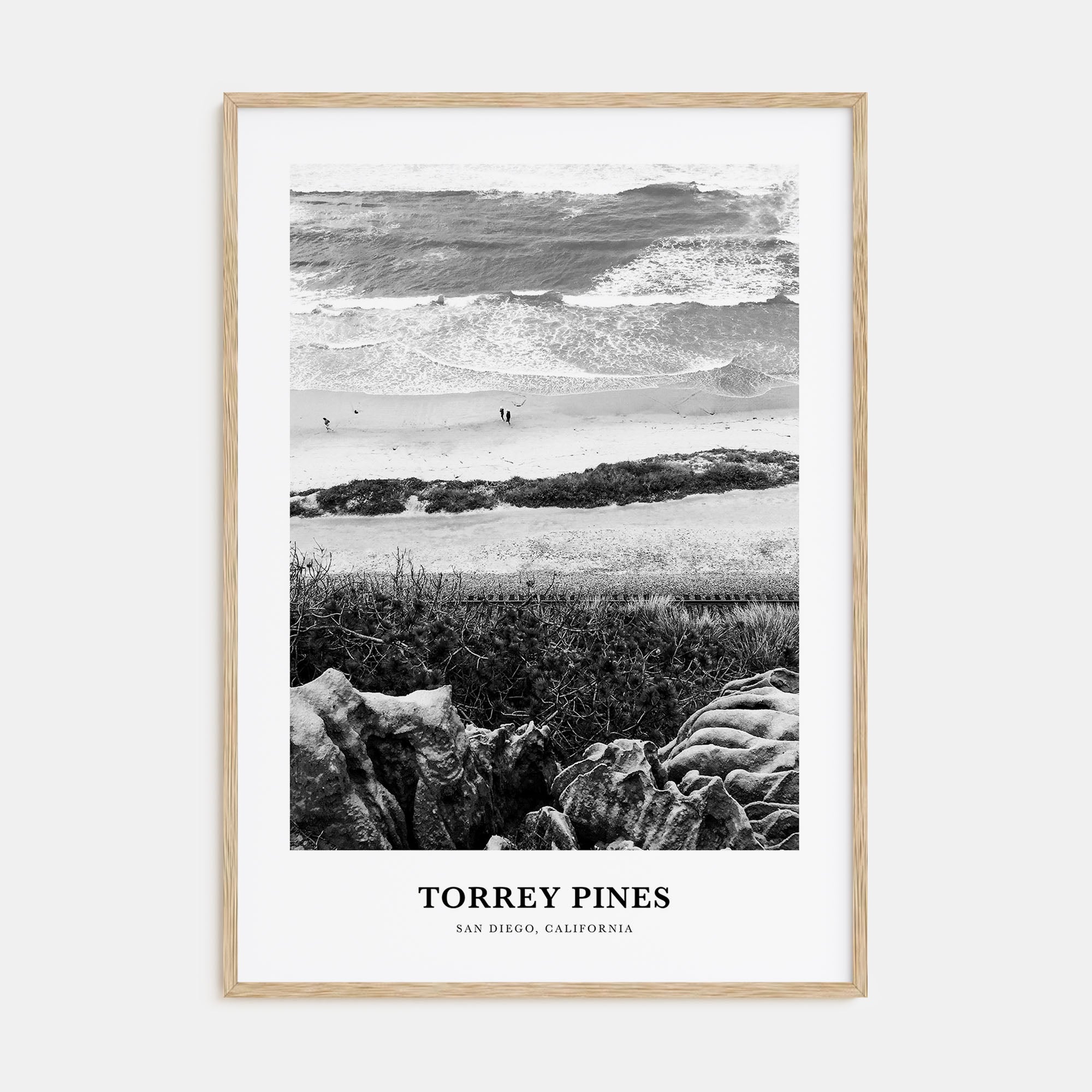Torrey Pines Portrait B&W No 1 Poster