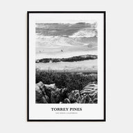 Torrey Pines Portrait B&W No 1 Poster