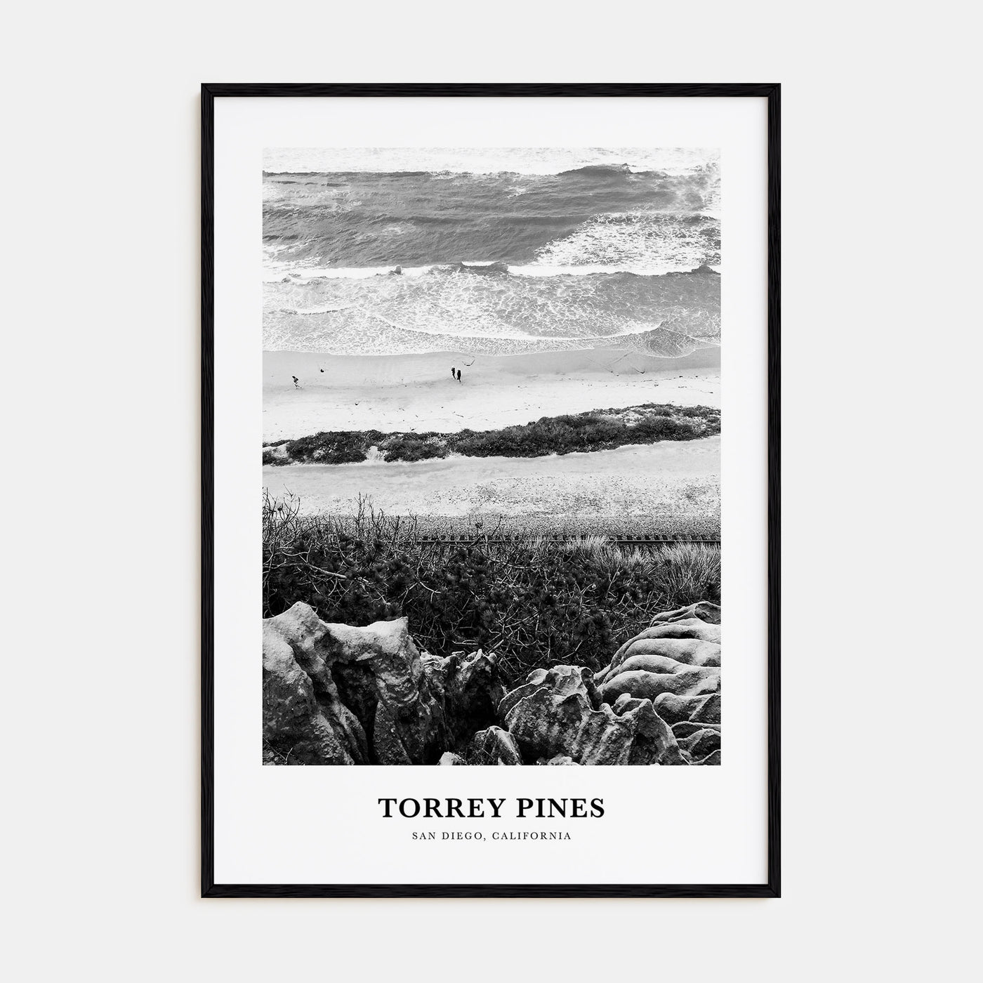 Torrey Pines Portrait B&W No 1 Poster