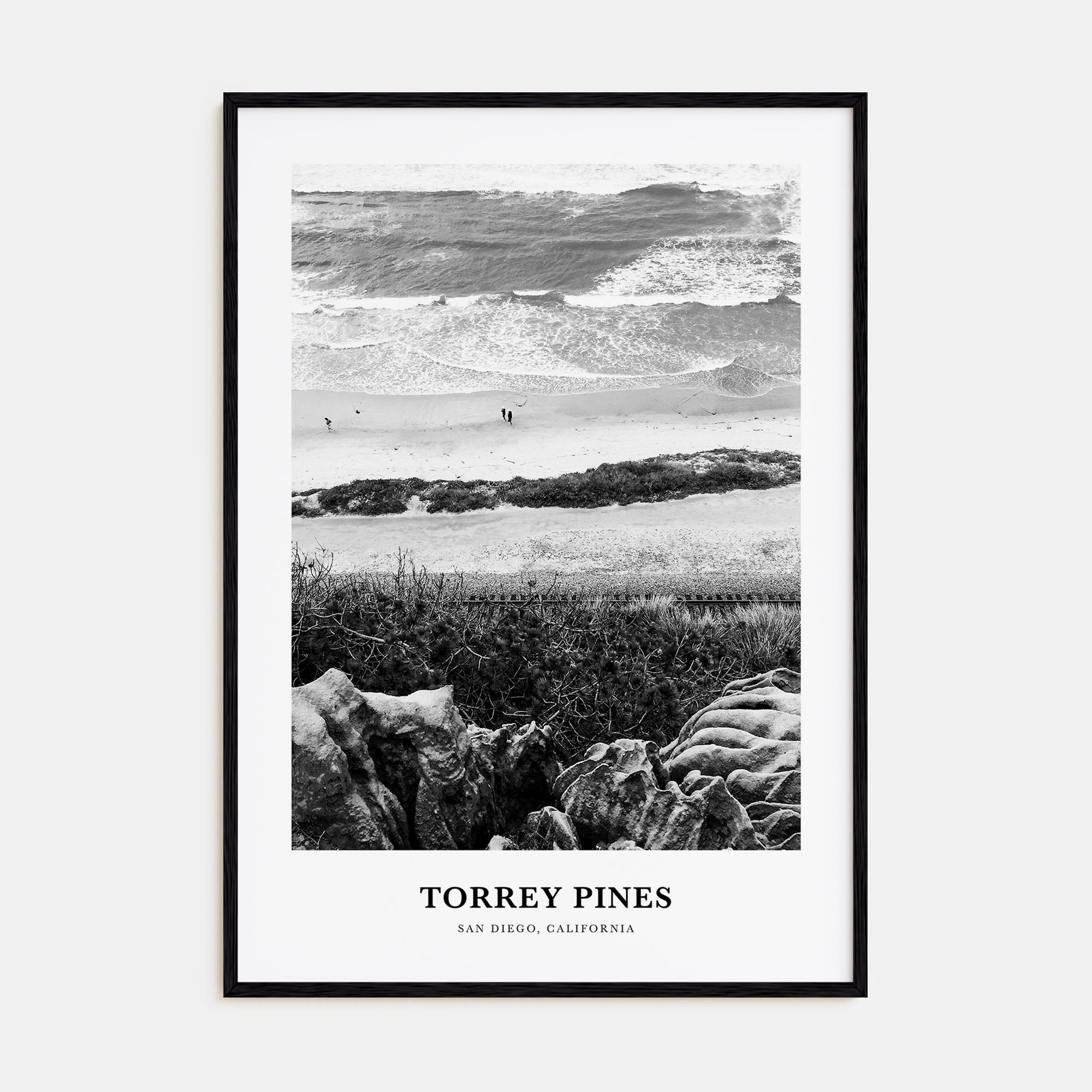 Torrey Pines Portrait B&W No 1 Poster