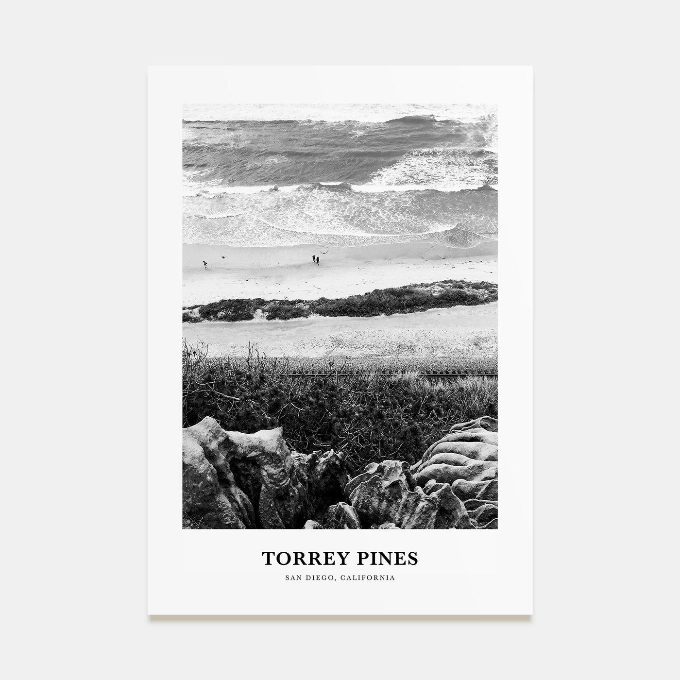 Torrey Pines Portrait B&W No 1 Poster