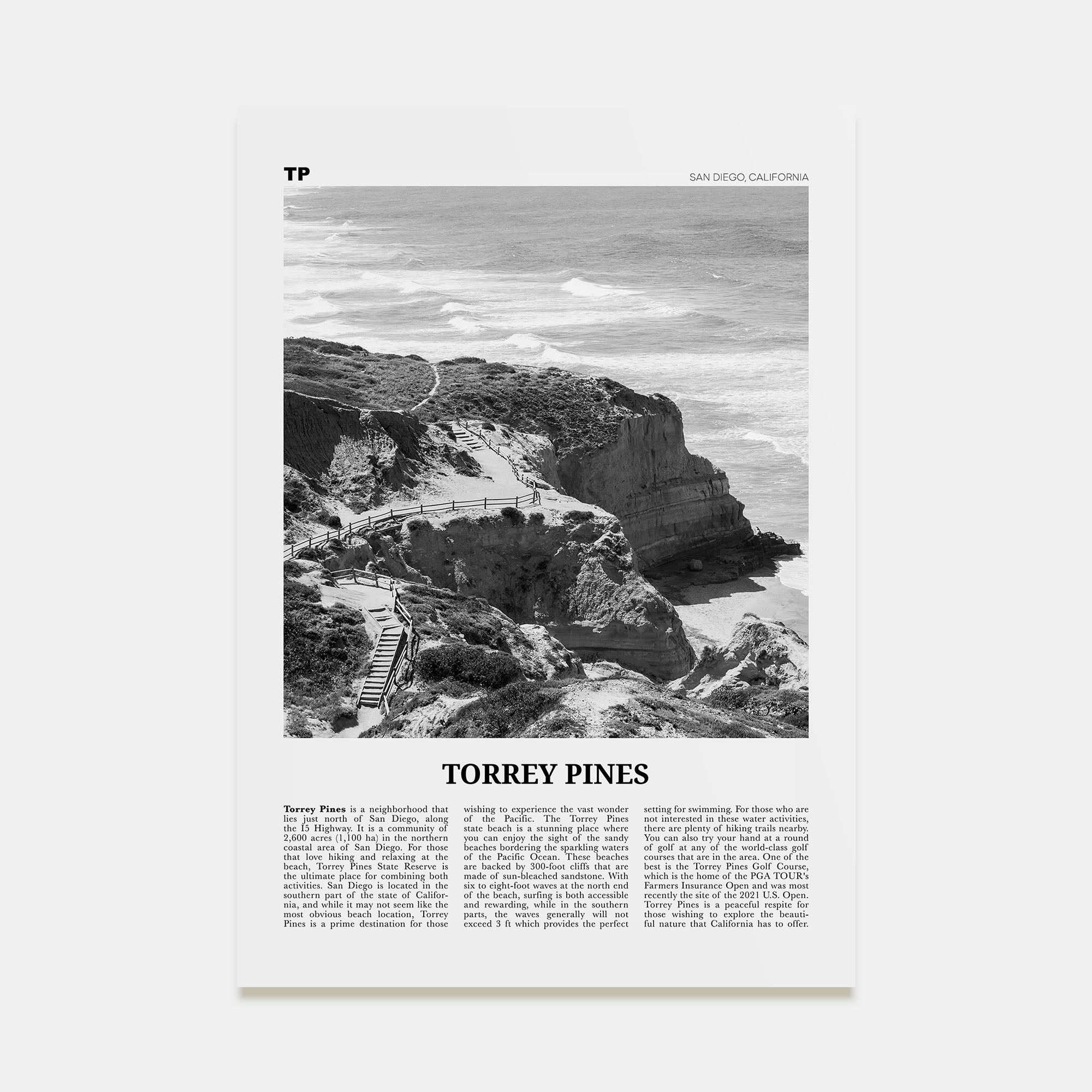 Torrey Pines Travel B&W No 1 Poster