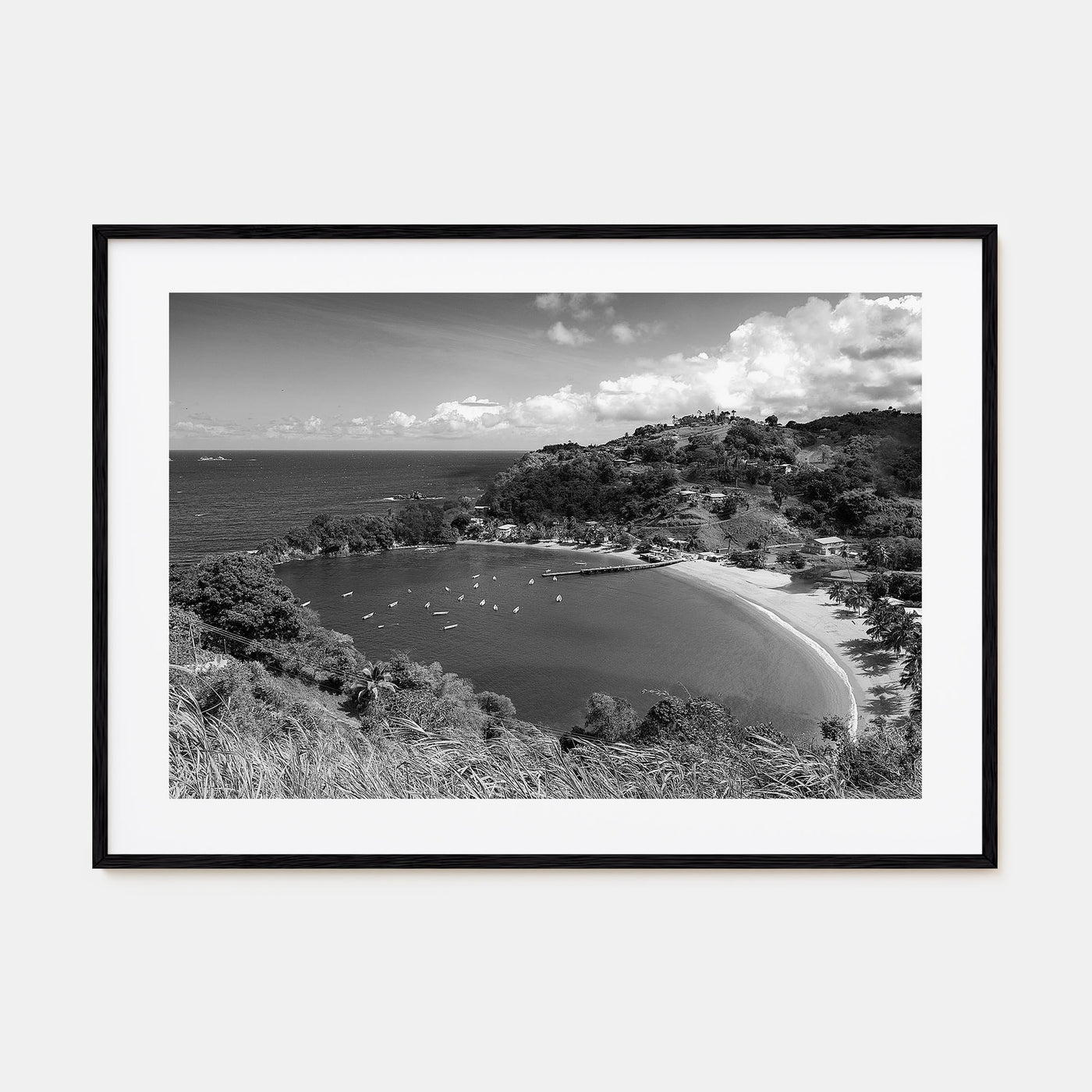 Trinidad and Tobago Landscape B&W Poster