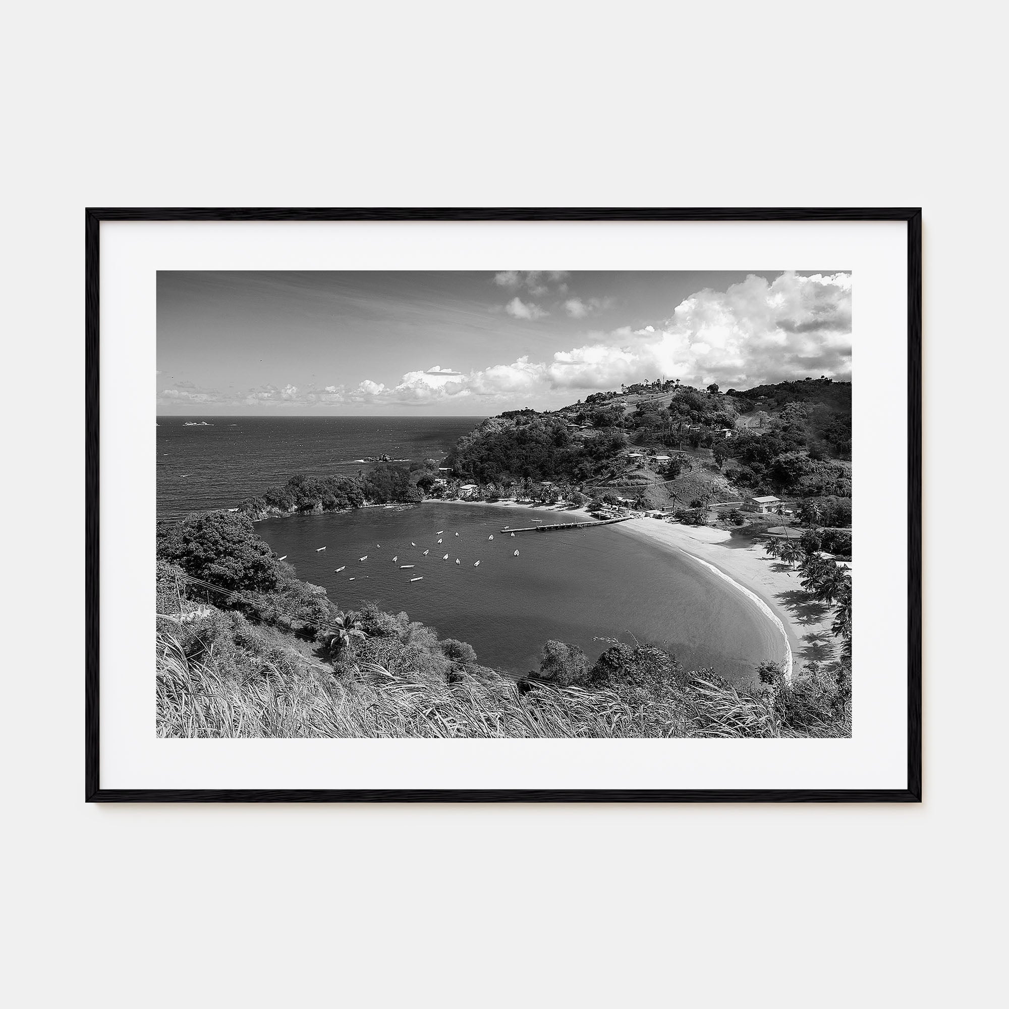 Trinidad and Tobago Landscape B&W Poster