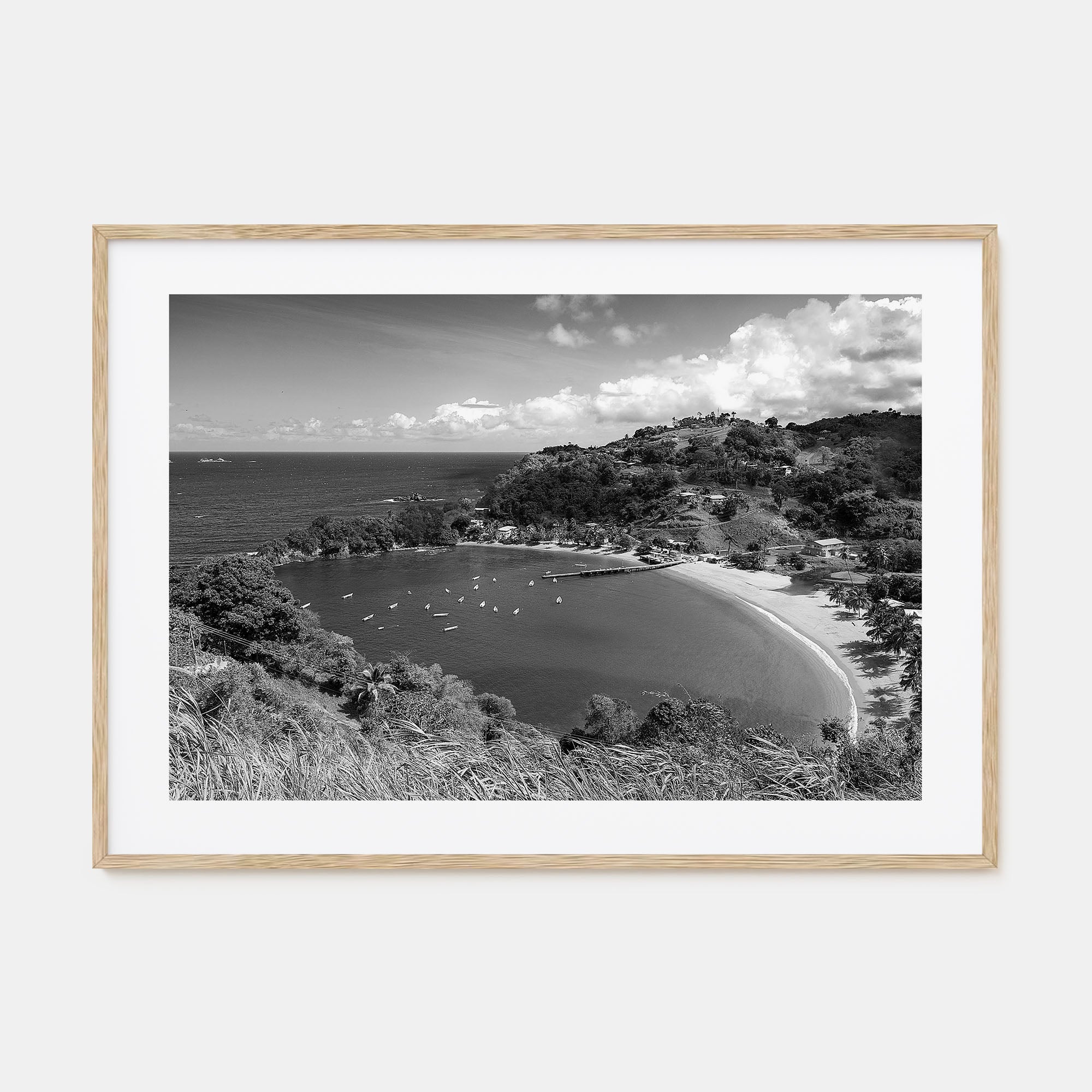 Trinidad and Tobago Landscape B&W Poster