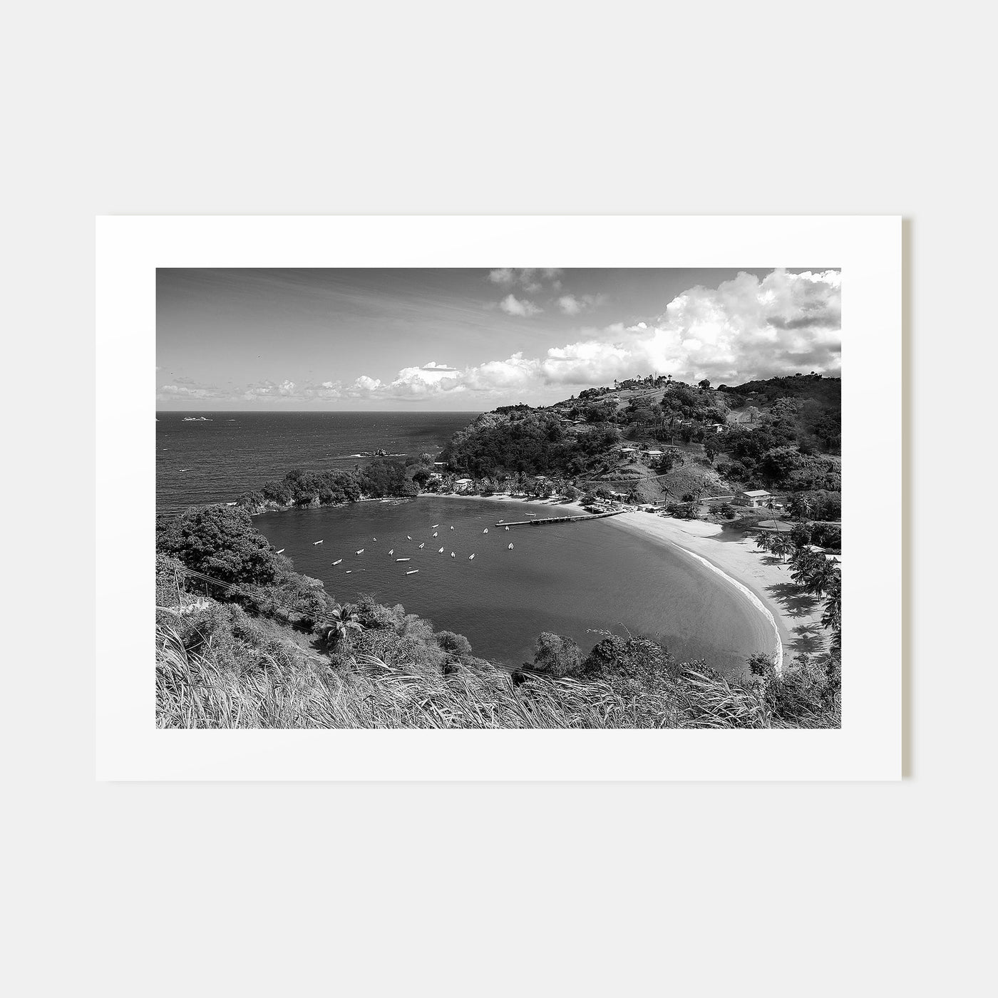 Trinidad and Tobago Landscape B&W Poster