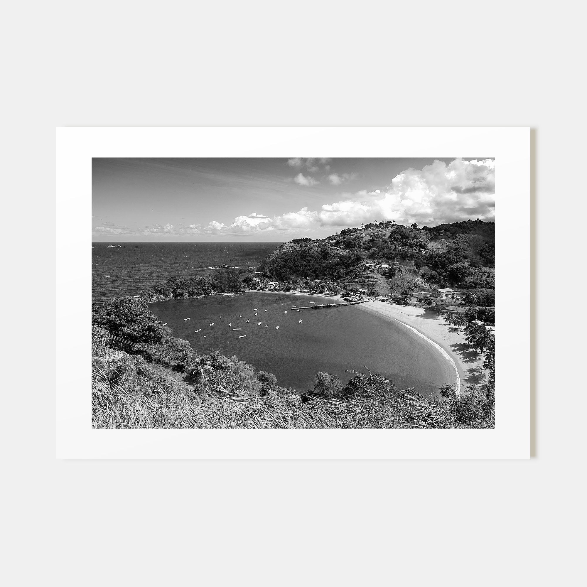 Trinidad and Tobago Landscape B&W Poster