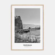 Trinidad Portrait B&W Poster