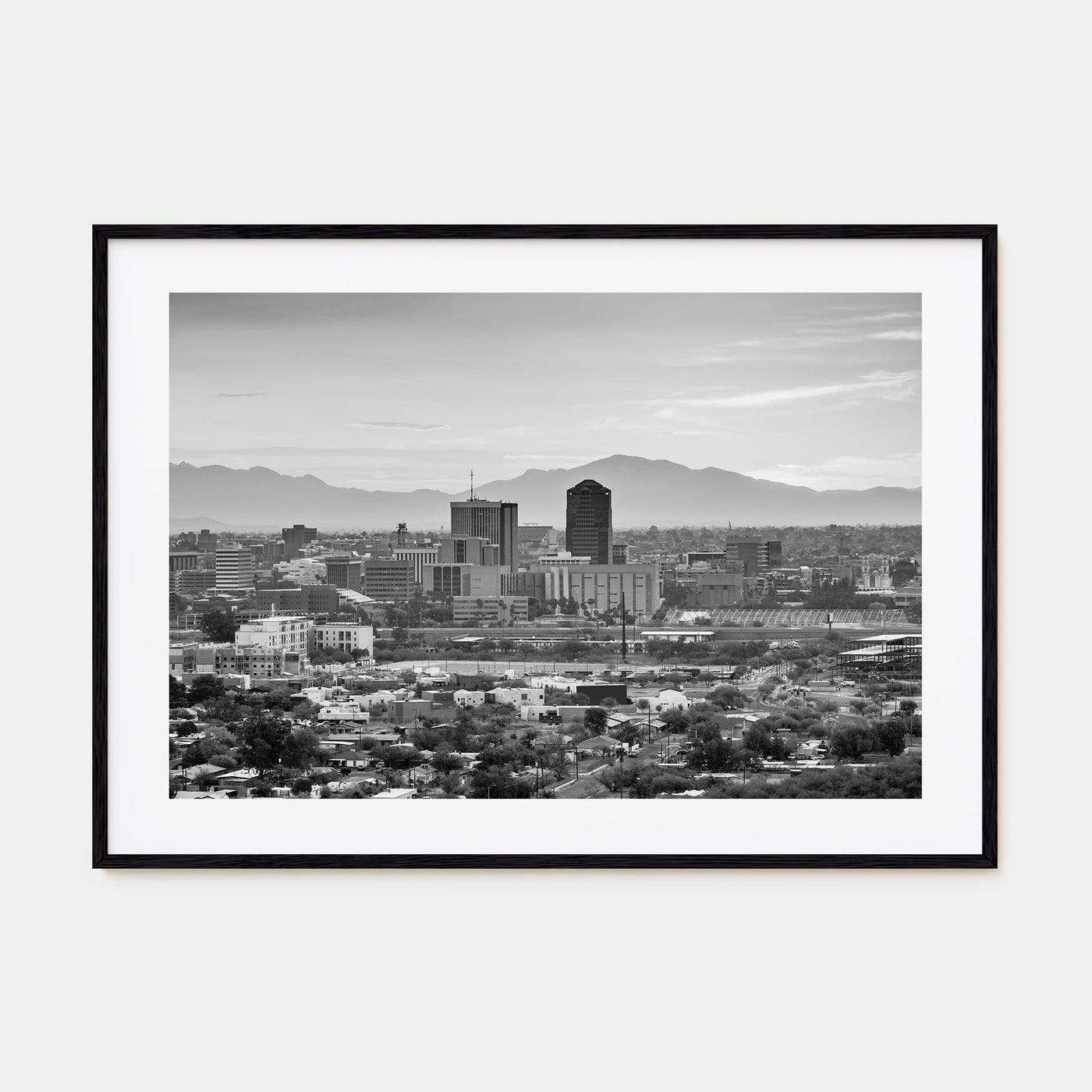 Tucson Landscape B&W Poster
