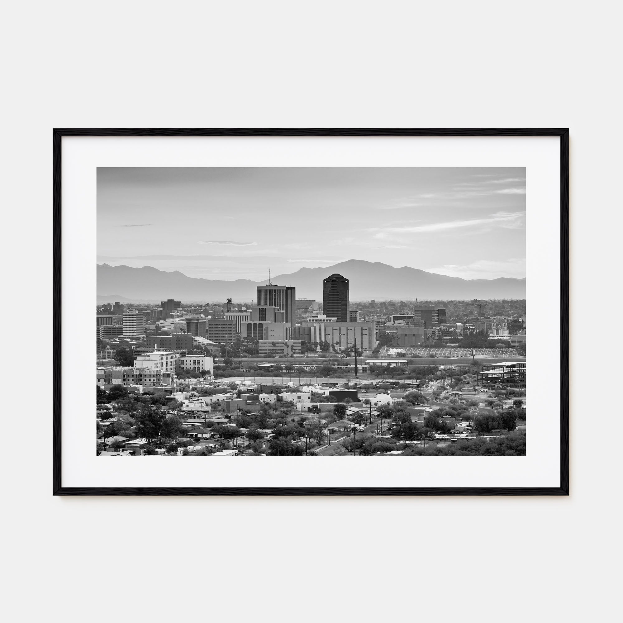 Tucson Landscape B&W Poster