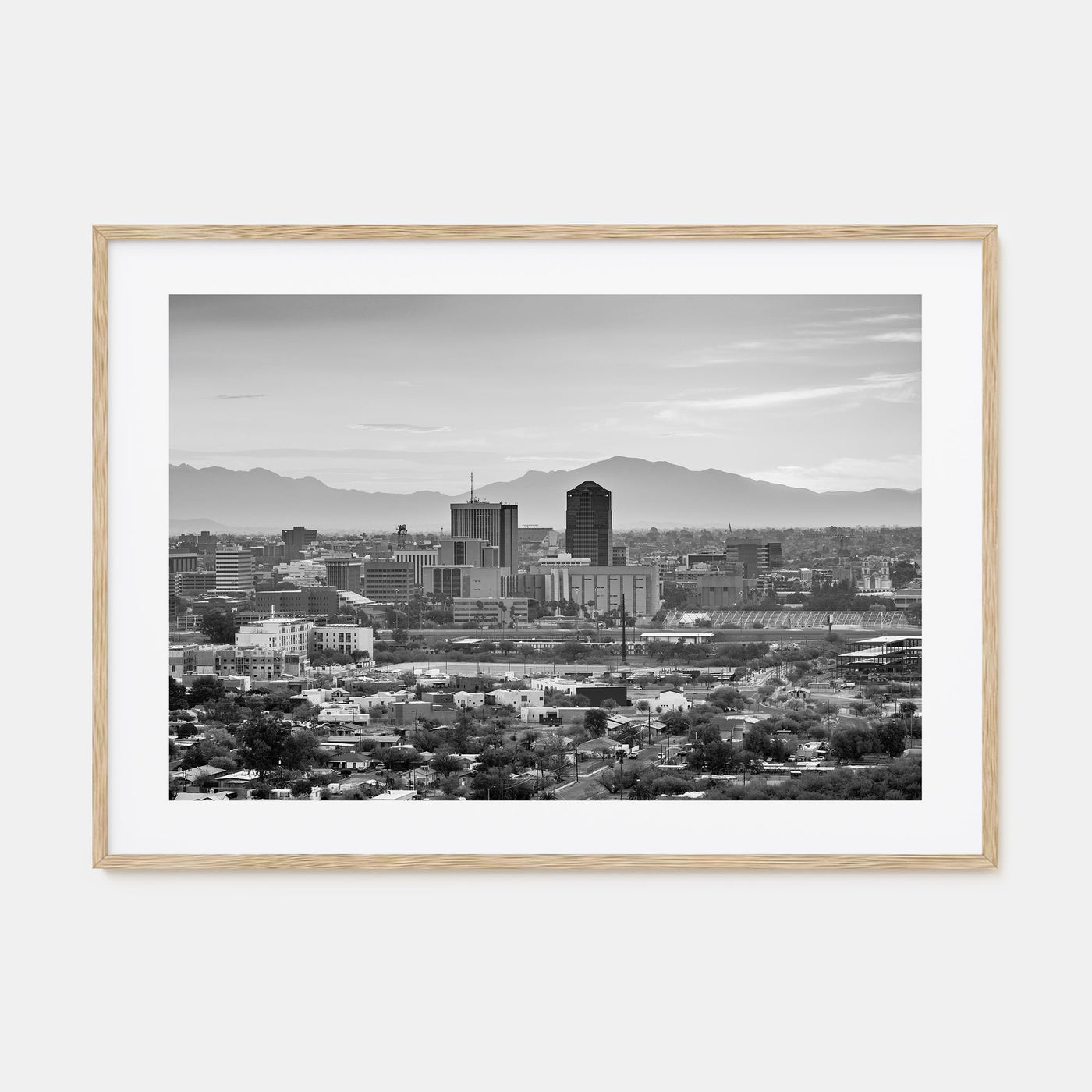 Tucson Landscape B&W Poster