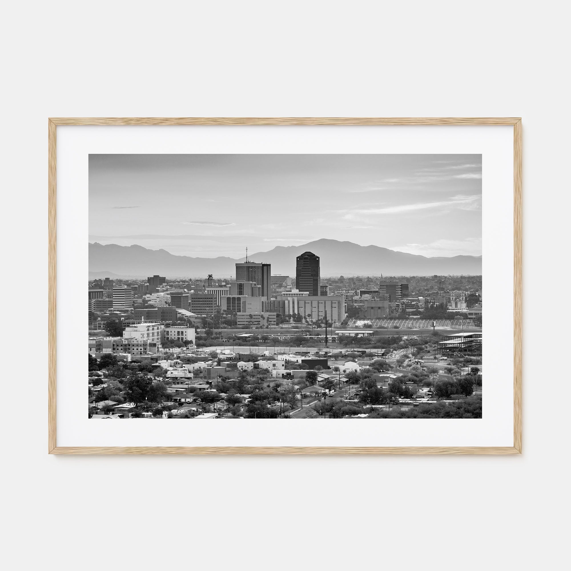 Tucson Landscape B&W Poster