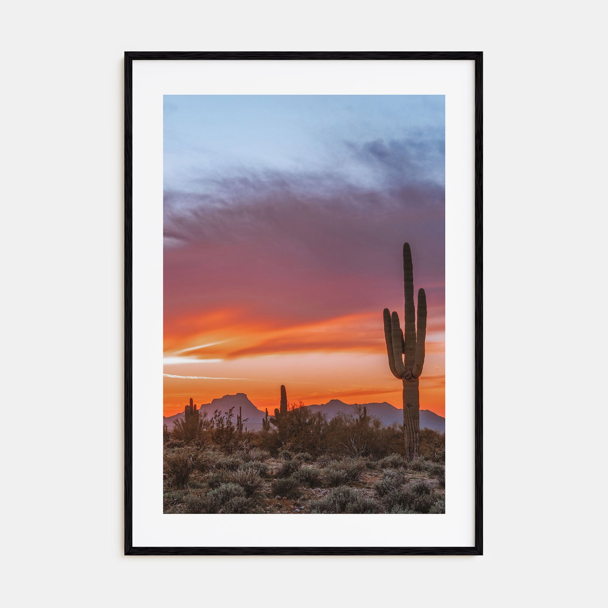 Tucson Photo Color No 2 Poster
