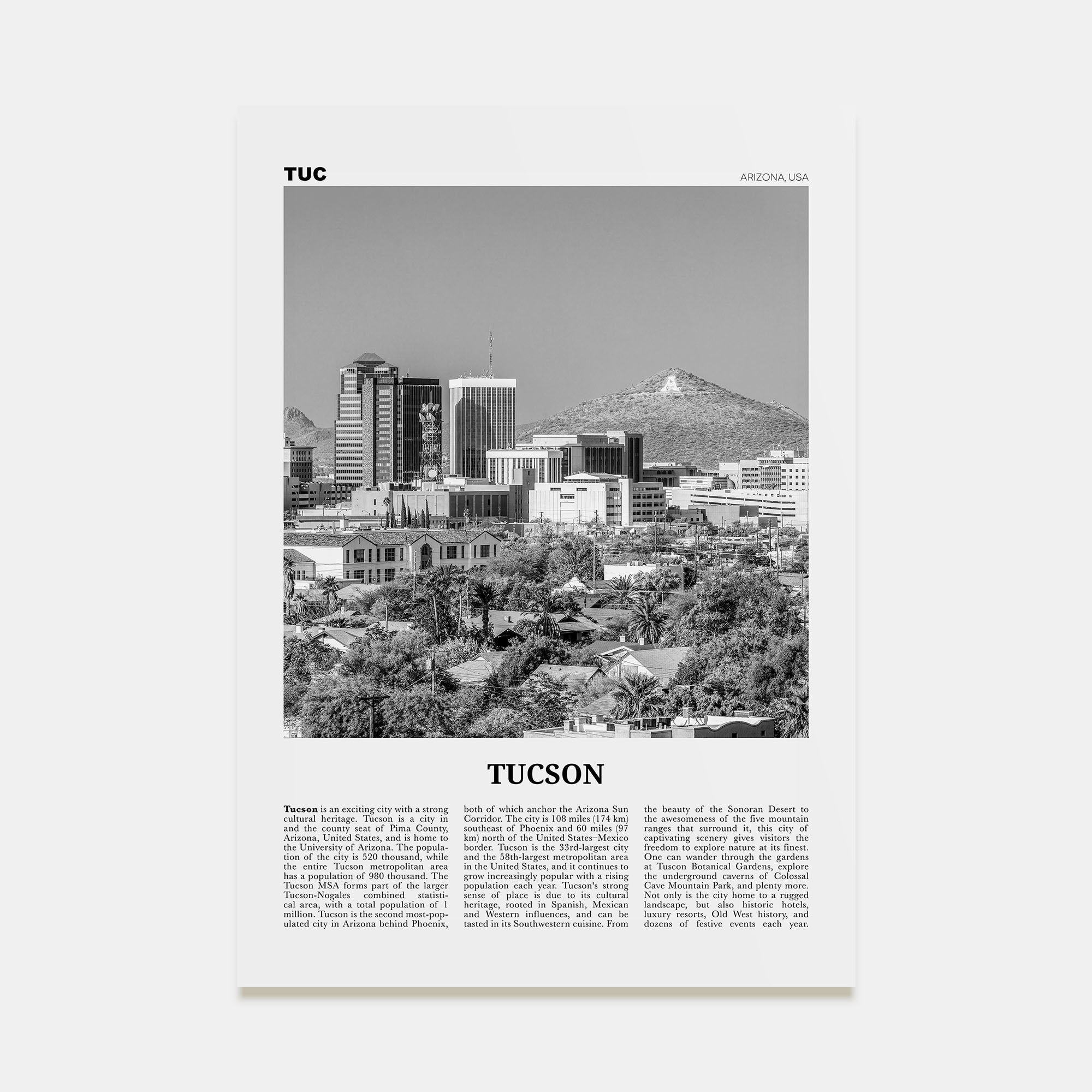Tucson Travel B&W No 1 Poster