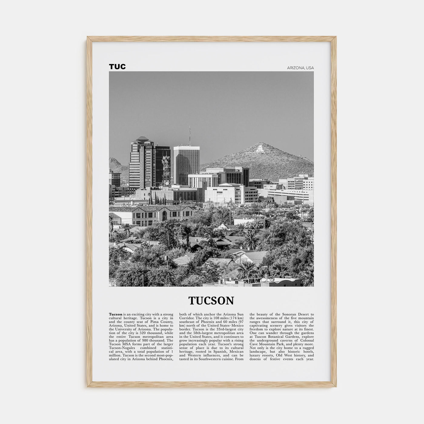 Tucson Travel B&W No 1 Poster